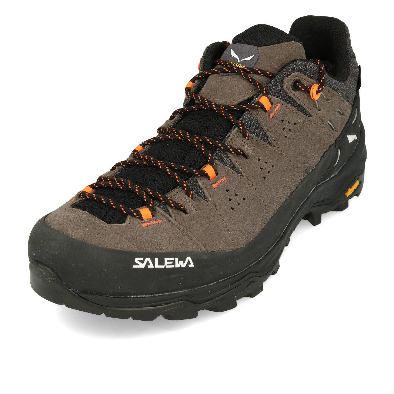 Salewa Salewa ALP Trainer 2 GTX Herren Bungee Cord Black Outdoorschuh