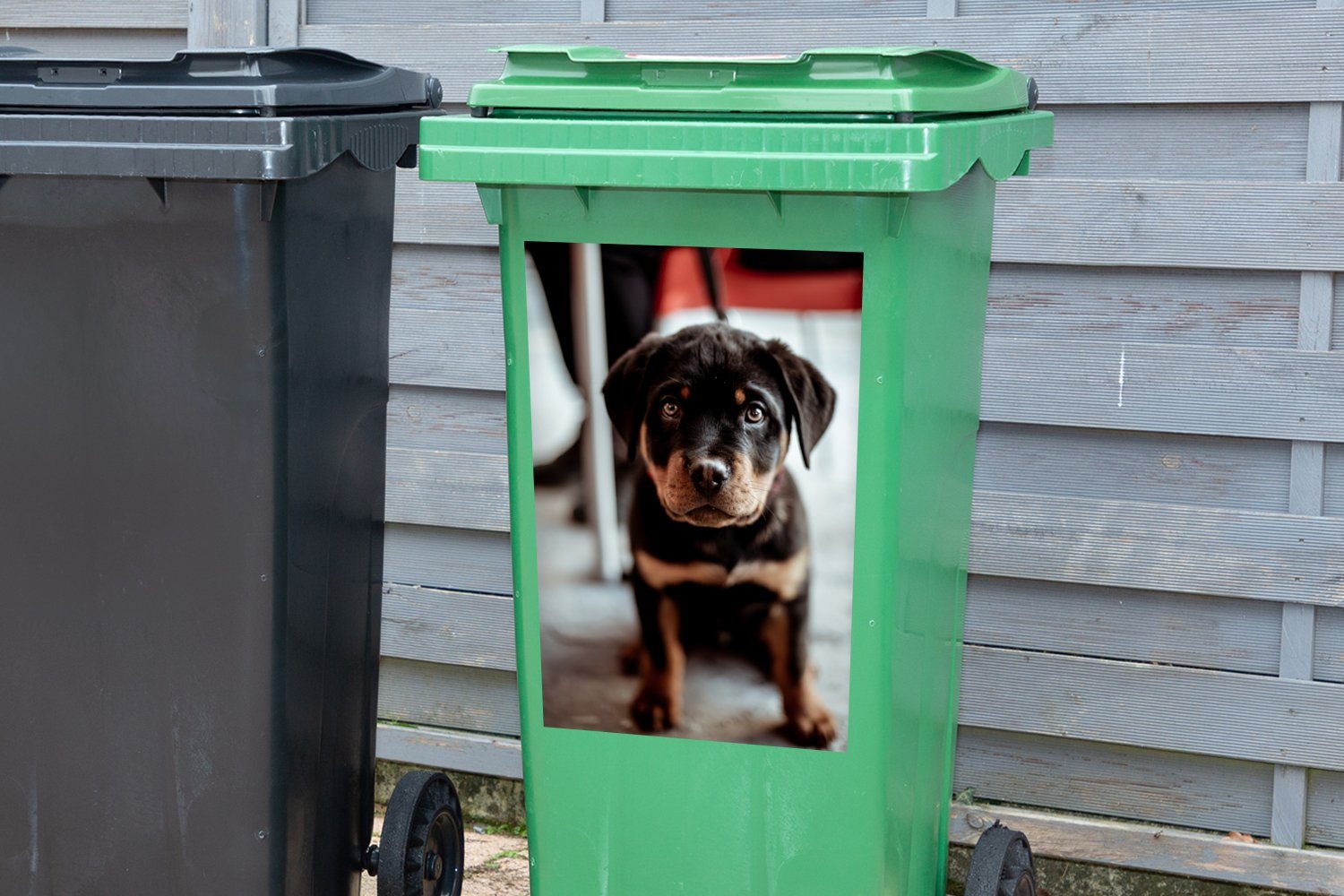 Abfalbehälter Container, Mülltonne, (1 Kamera MuchoWow Mülleimer-aufkleber, Sticker, Hund - Jung St), - Wandsticker