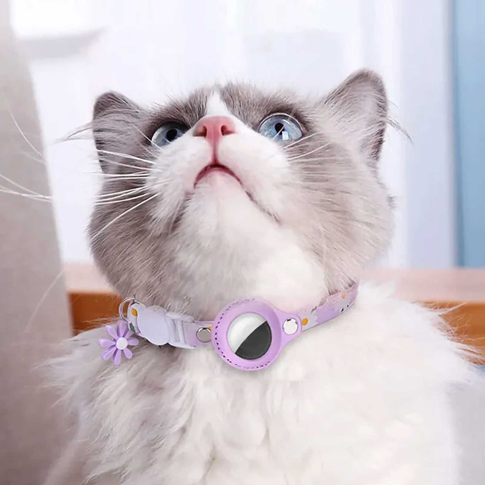 Monkimau Hunde-Halsband Katzenhalsband mit AirTag Halter Sicherheitsverschluss lila