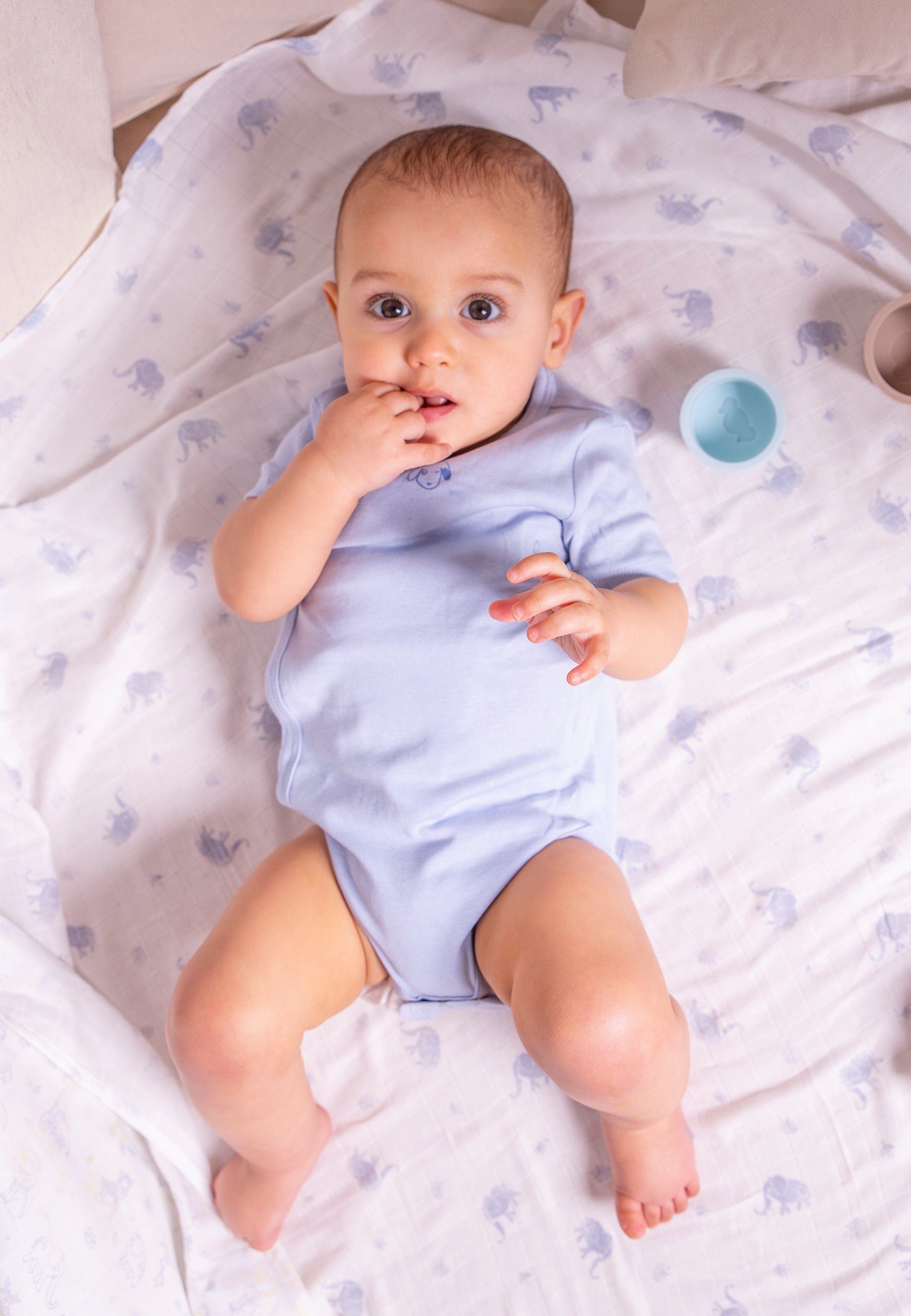 Stellou & friends Kurzarmwickelbody Baby Set (3tlg) - kuschelweiches Kurzarm-Wickelbody Set Jungs Mädchen (Set, 3er-Pack) Baby Set (3tlg) - kuschelweiches Kurzarm-Wickelbody Set Jungs Mädchen