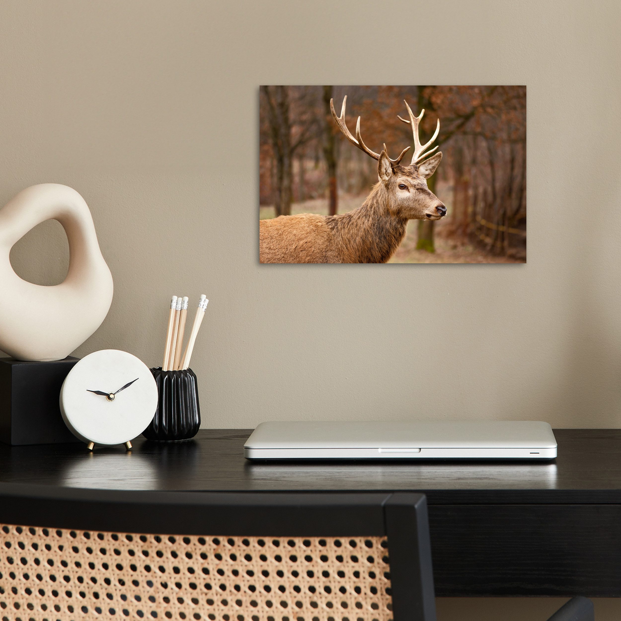 MuchoWow Poster Hirsch - Tier - günstig online kaufen