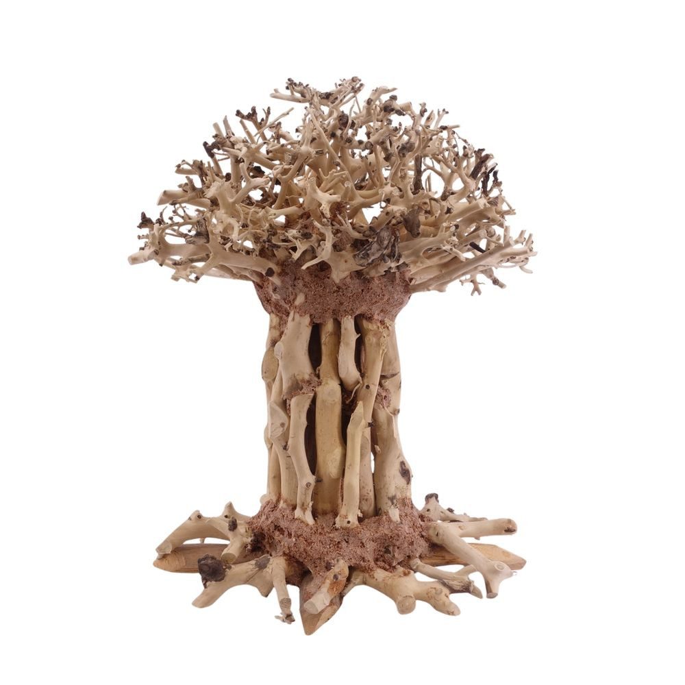 Aquaone Aquarium Bonsai Mammut Baum XL 20x15x25 Wurzel Holz Aquarium Deko Aquascaping