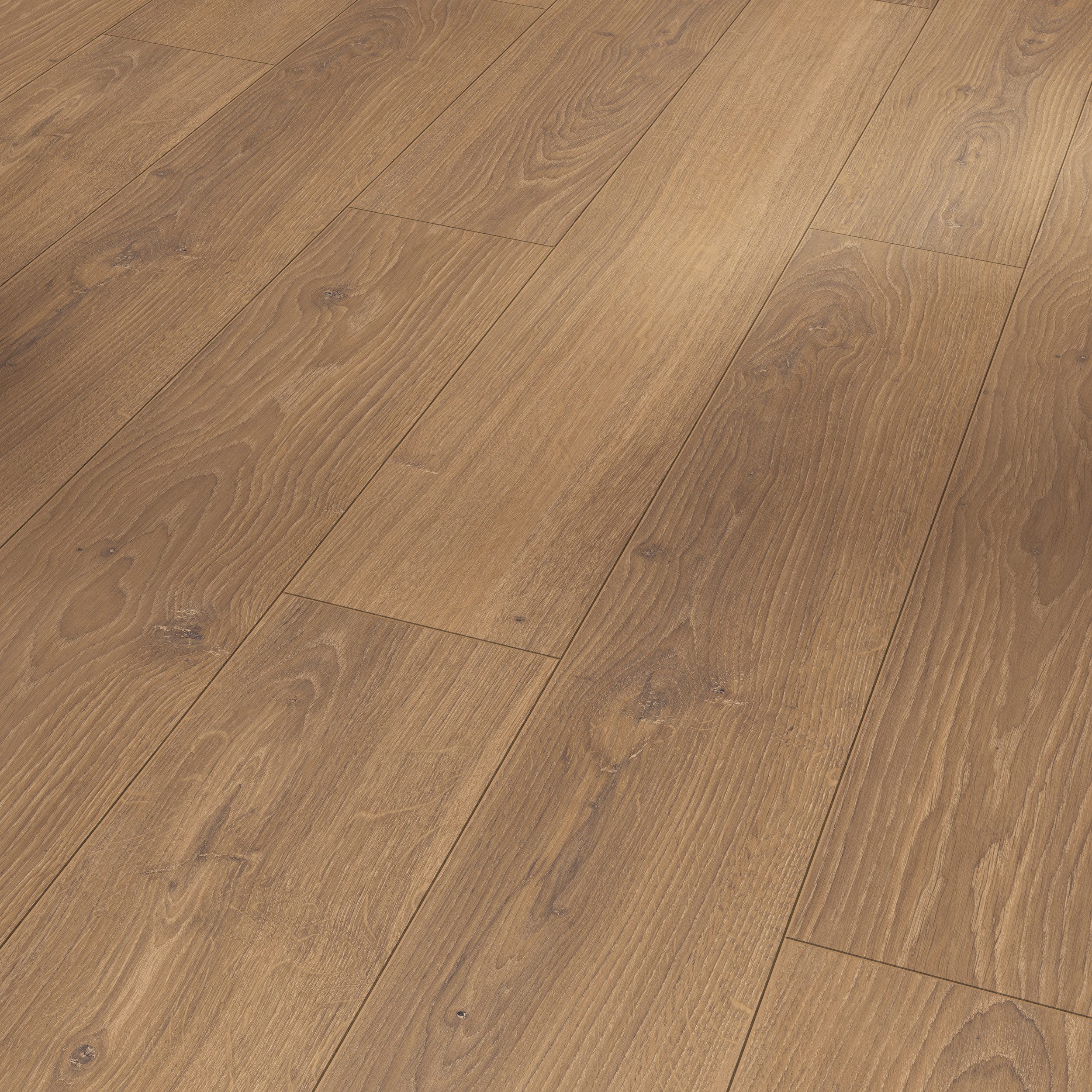 PARADOR Laminat Classic 1050 Eiche Studioline honig, 10 St., Klicklaminat 2,493m² (10 Dielen) pro Karton, Eiche