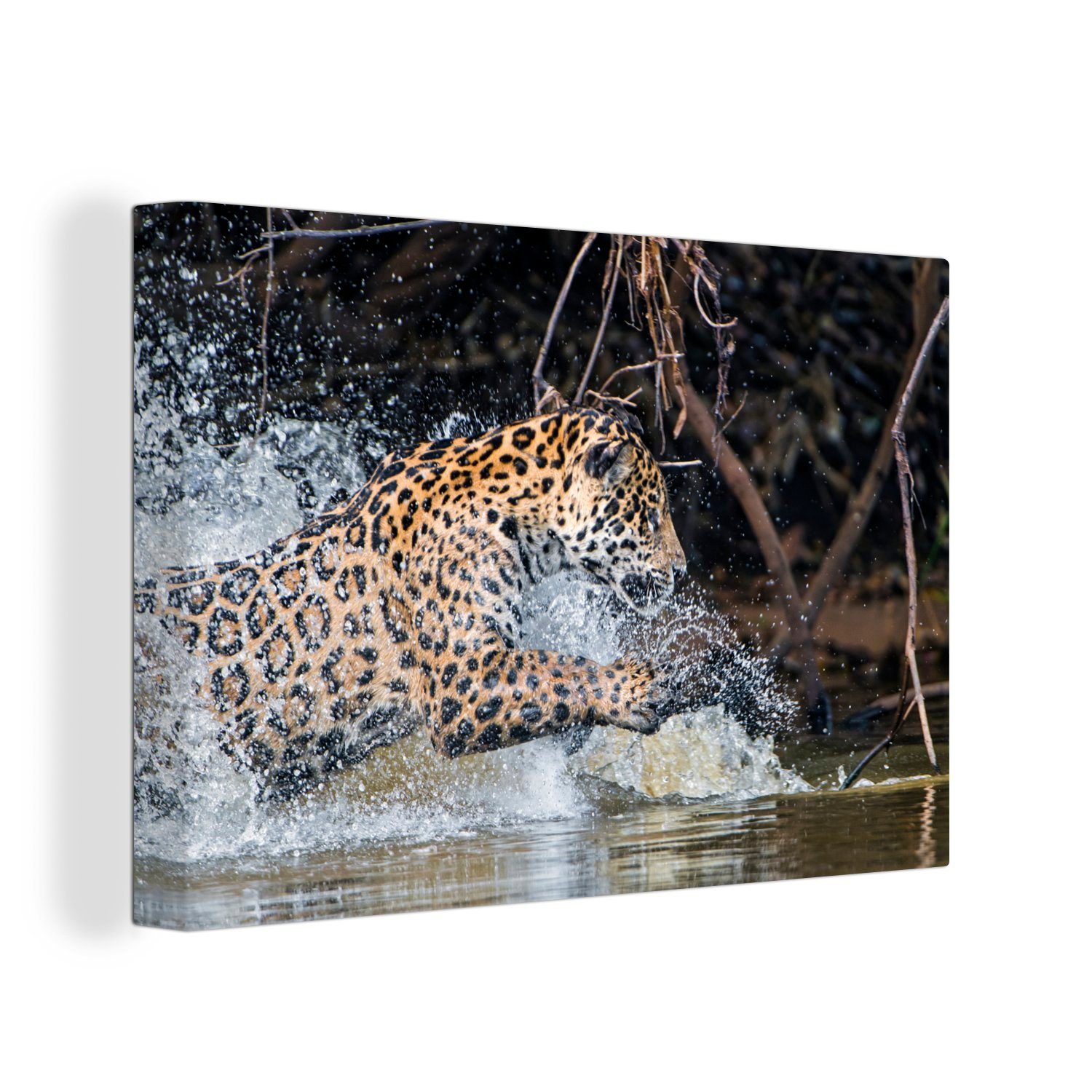 OneMillionCanvasses® Leinwandbild Jaguar Wandbild Aufhängefertig, Beute, (1 - cm - Leinwandbilder, Jagd St), 30x20 Wanddeko