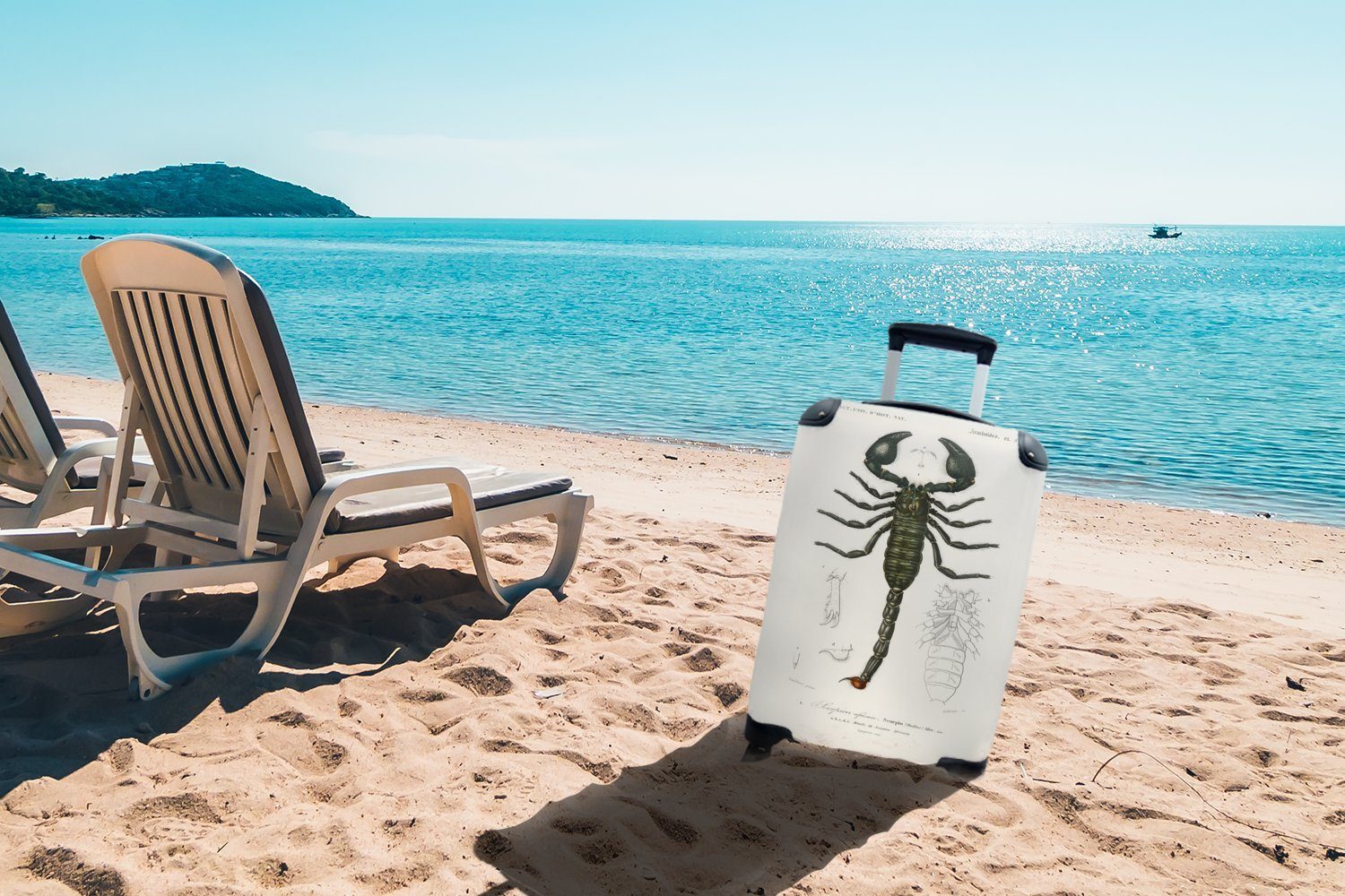Trolley, Ferien, Jahrgang rollen, Handgepäck MuchoWow - Handgepäckkoffer 4 für Skorpion - mit Reisekoffer Reisetasche Rollen, Insekten,