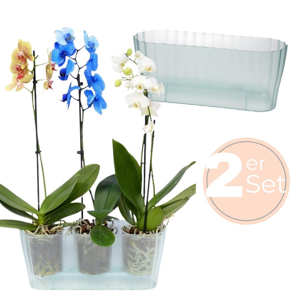 GarPet Blumentopf 2x Orchideentopf Transparent Orchideen günstig online kaufen