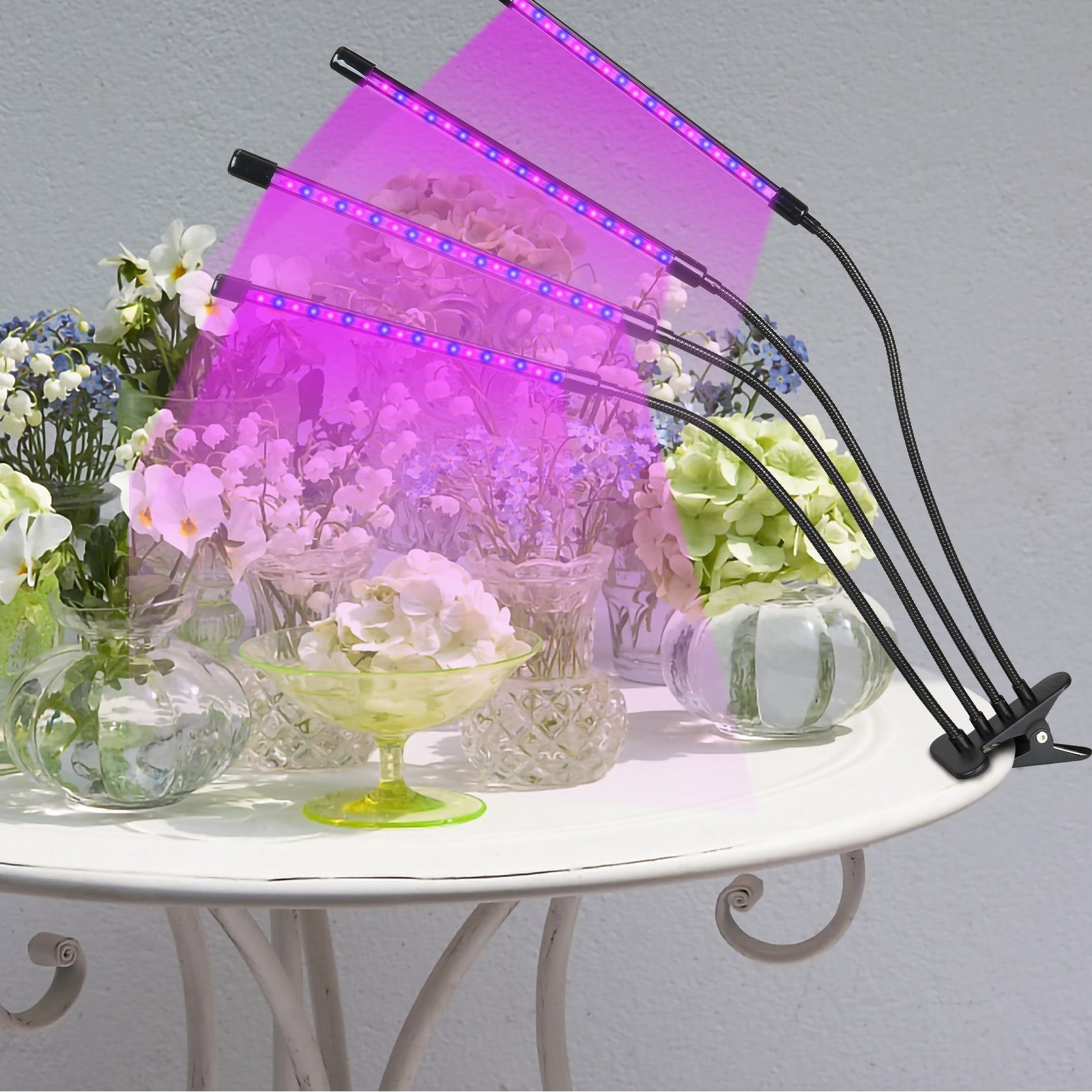Gewächshaus LEDs TolleTour Zimmerpflanzen Pflanzenlicht 80 LED 4 Köpfe, Vollspektrum Gartenarbeit Pflanzenlampe