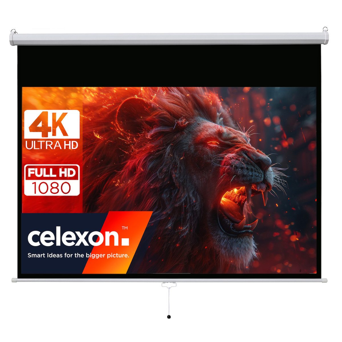 Celexon basic line Rolloleinwand (schwarze Rückseite)