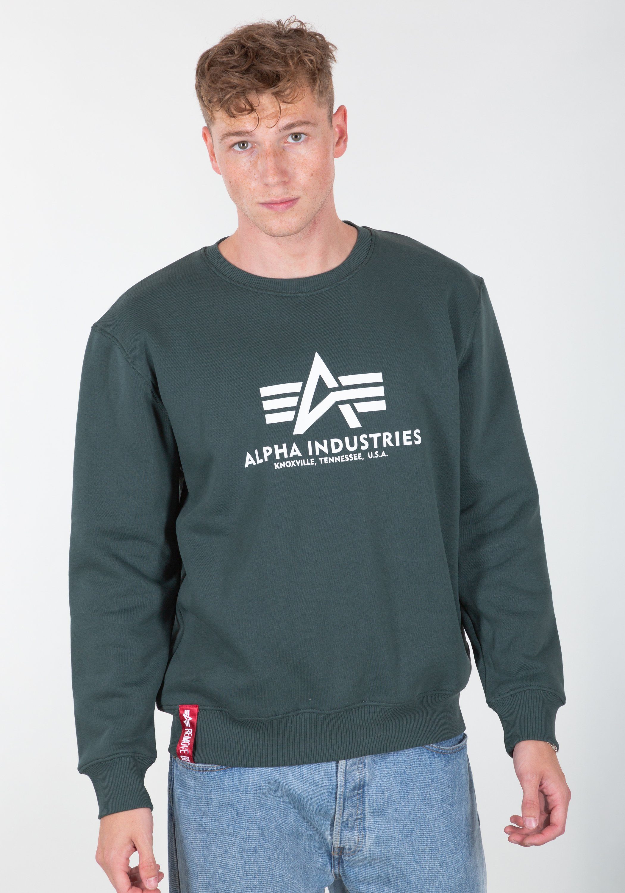 Alpha Industries Sweater Alpha Basic Sweater navy Sweatshirts - Men green Industries