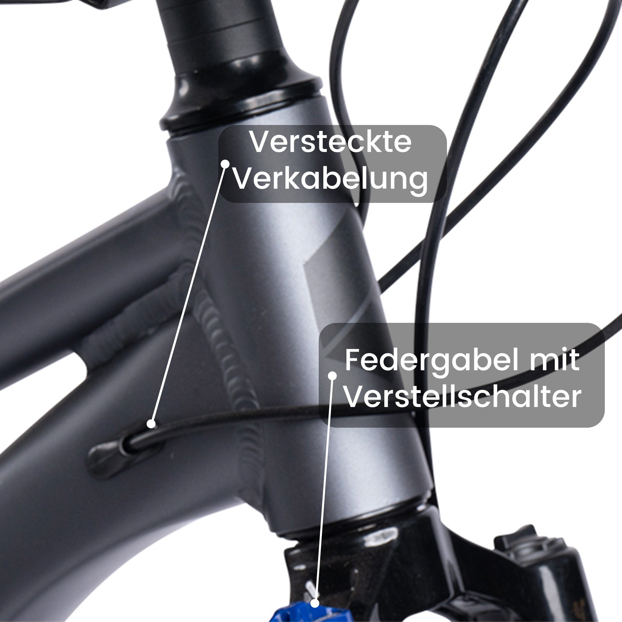 CARPAT SPORT Mountainbike 24 26 27.5 Zoll Fahrrad für Herren Damen, Mädchen und Jungen, 21 Gang Shimano Tourney Schaltwerk, Kettenschaltung, Aluminium Rahmen, Jugendfahrrad MTB Hardtail Fahrrad