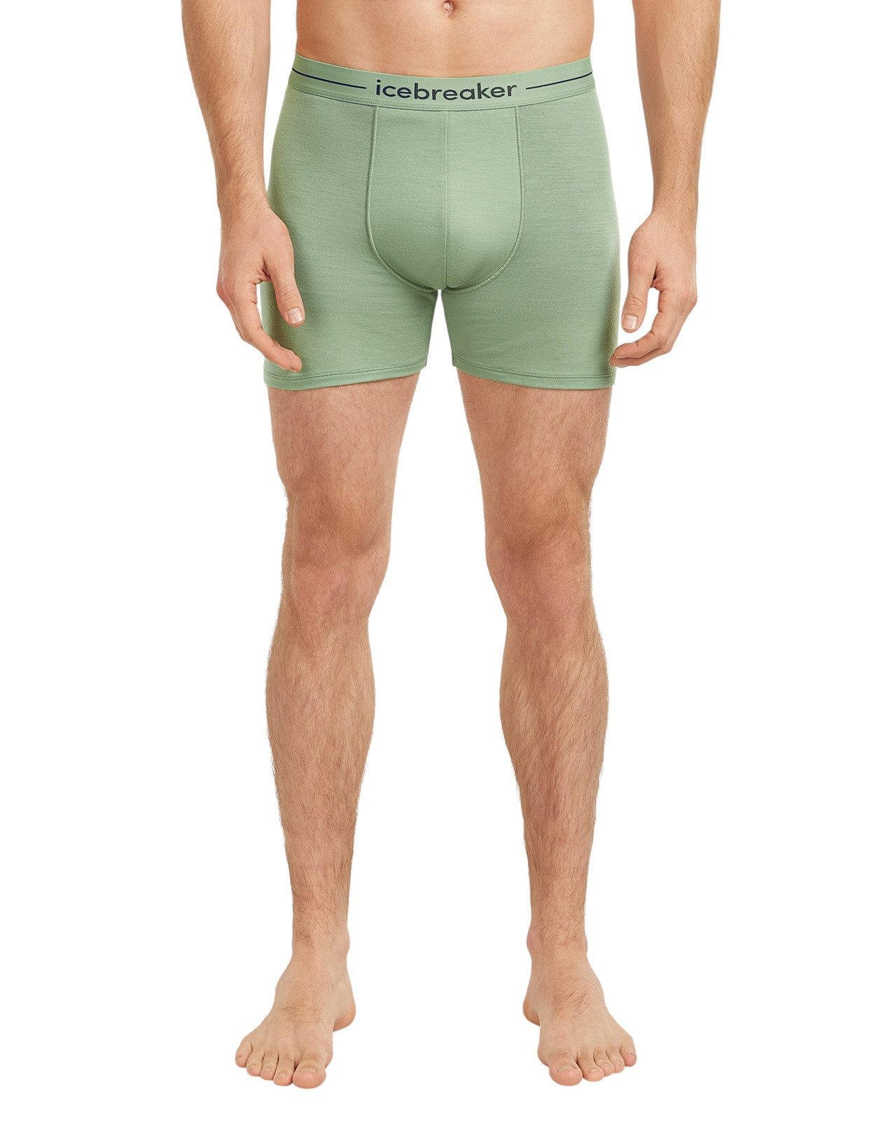 Icebreaker Boxershorts Anatomica (Merinowolle) Unterwäsche sea grün Herren