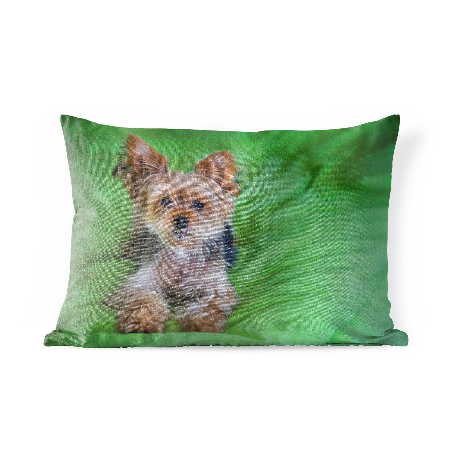 MuchoWow Dekokissen Ein Yorkshire Terrier liegt auf einem grünen Kissen, Outdoor-Dekorationskissen, Polyester, Dekokissenbezug, Kissenhülle