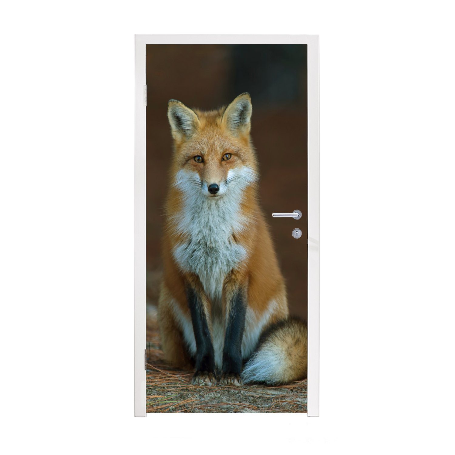 MuchoWow Türtapete Fuchs - Makro - Rot, Matt, bedruckt, (1 St), Fototapete für Tür, Türaufkleber, 75x205 cm