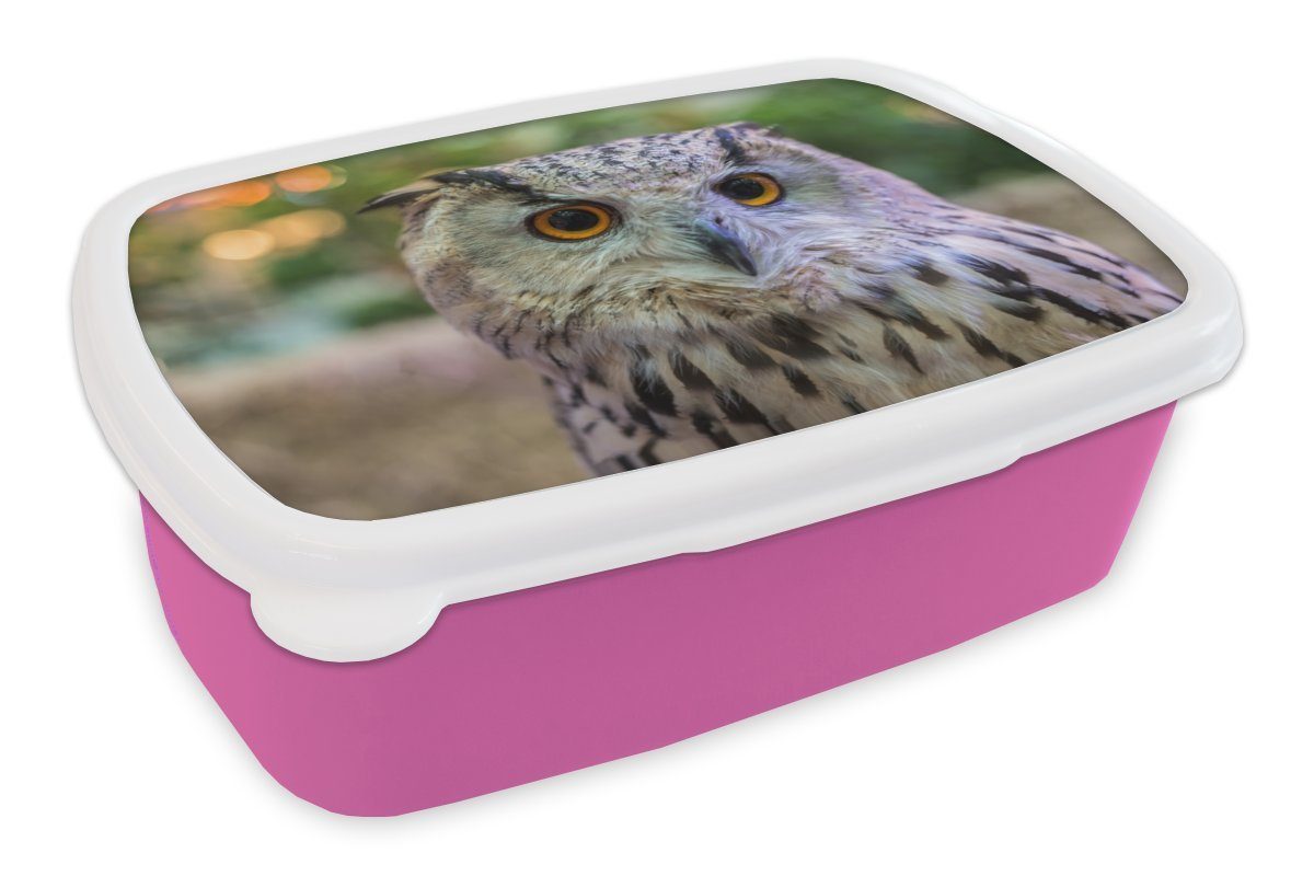 MuchoWow Lunchbox Braune Eule auf einem Baumstumpf sitzend, Kunststoff, (2-tlg), Brotbox für Erwachsene, Brotdose Kinder, Snackbox, Mädchen, Kunststoff rosa