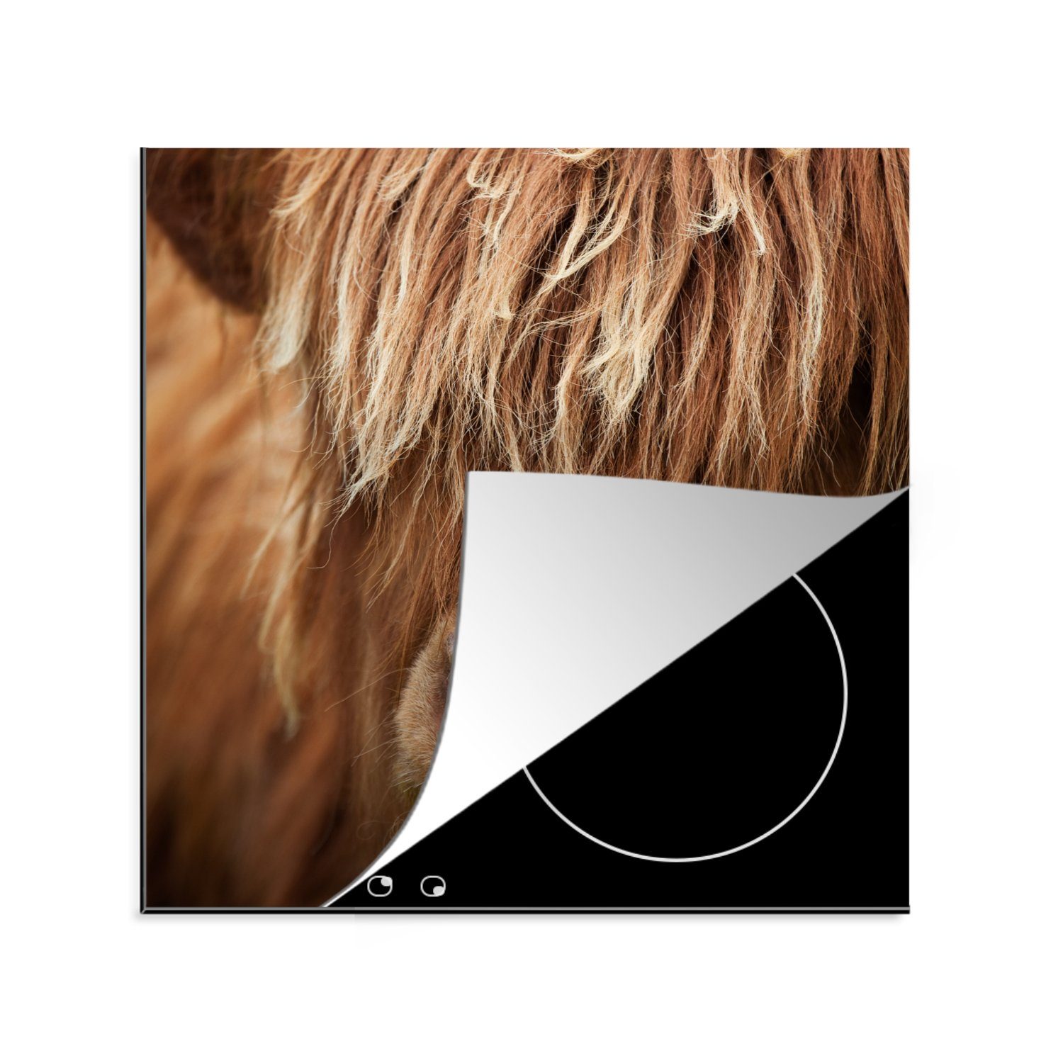 MuchoWow Herdblende-/Abdeckplatte Schottischer Highlander - Nase - Haare, Vinyl, (1 tlg), 78x78 cm, Ceranfeldabdeckung, Arbeitsplatte für küche