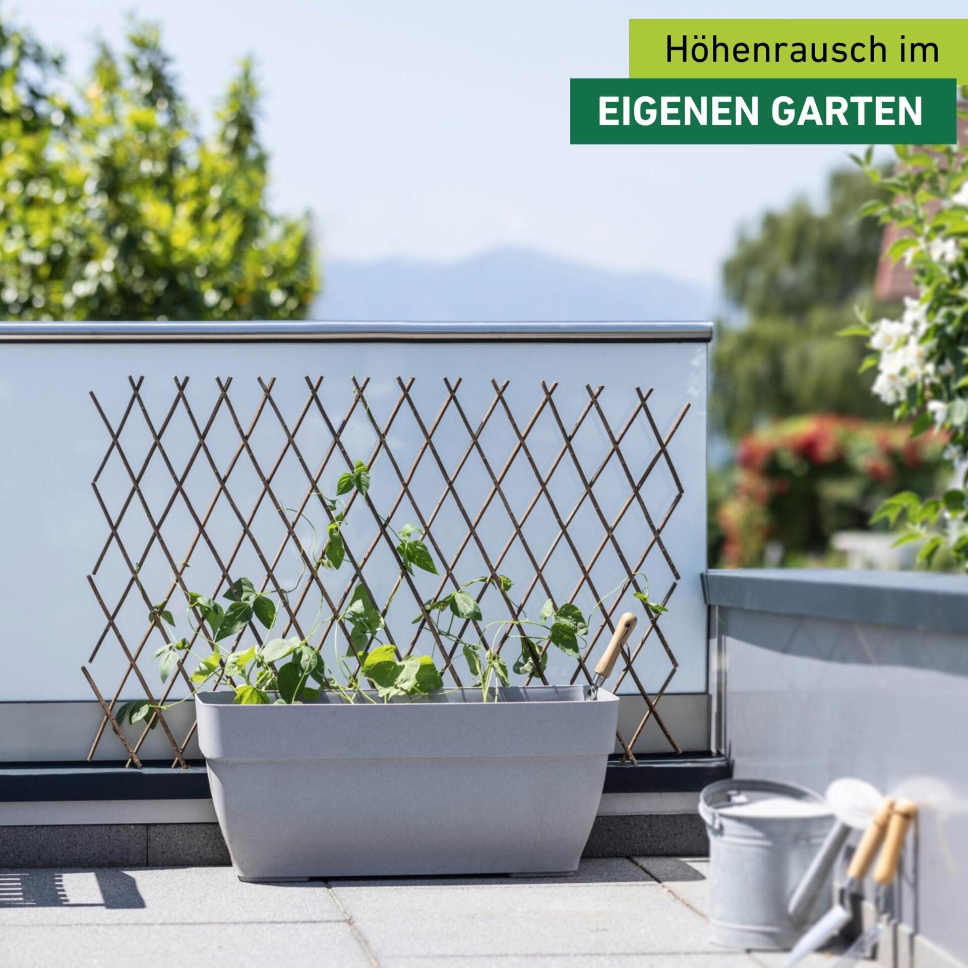 Windhager Rankgitter Weide-Spalier ideal für Balkon, Terrasse oder Garten ausziehbar, 1 St., Kletterhilfe für Pflanzen, erhältlich in 60 x 120 cm oder 120 x 180 cm
