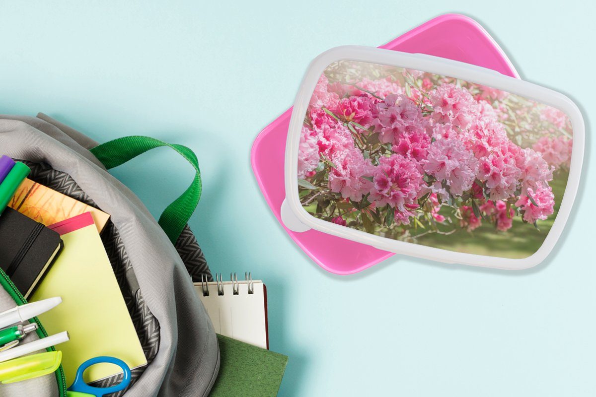 Snackbox, Erwachsene, Kunststoff MuchoWow Kunststoff, für Hortensie, Kinder, Brotdose Sommerfarben (2-tlg), Brotbox Mädchen, Lunchbox rosa der
