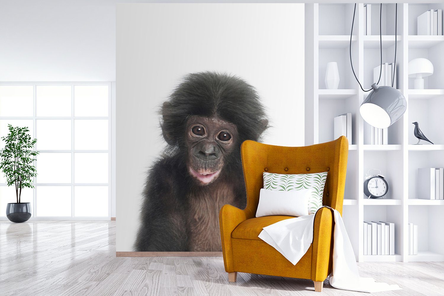 Tiere Vinyl Schimpanse, - - Matt, (4 - für Wandtapete MuchoWow Natur St), bedruckt, Wohnzimmer, Affe Montagefertig Fototapete Tapete