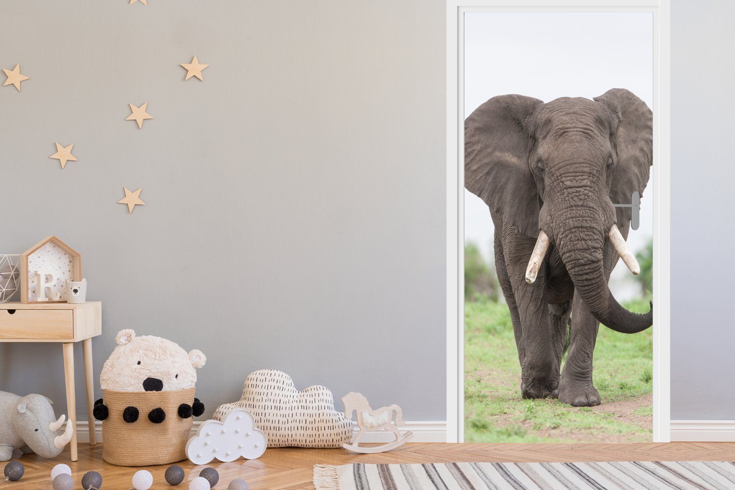 Türaufkleber, Tür, - (1 Elefant Matt, St), Tiere Fototapete MuchoWow cm Gras bedruckt, - für Natur, 75x205 - Türtapete