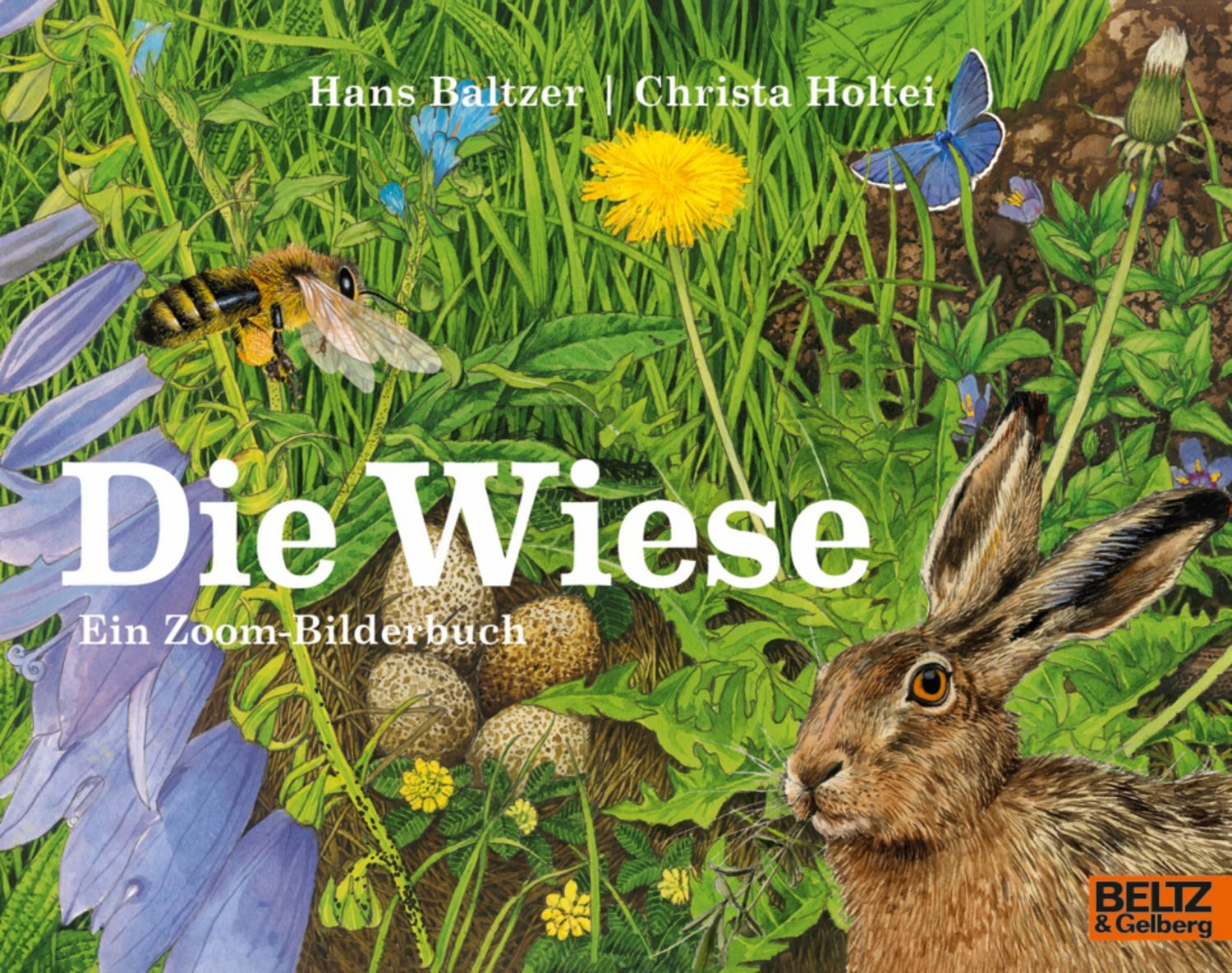 Die Wiese / Hans Baltzer, Christa Holtei