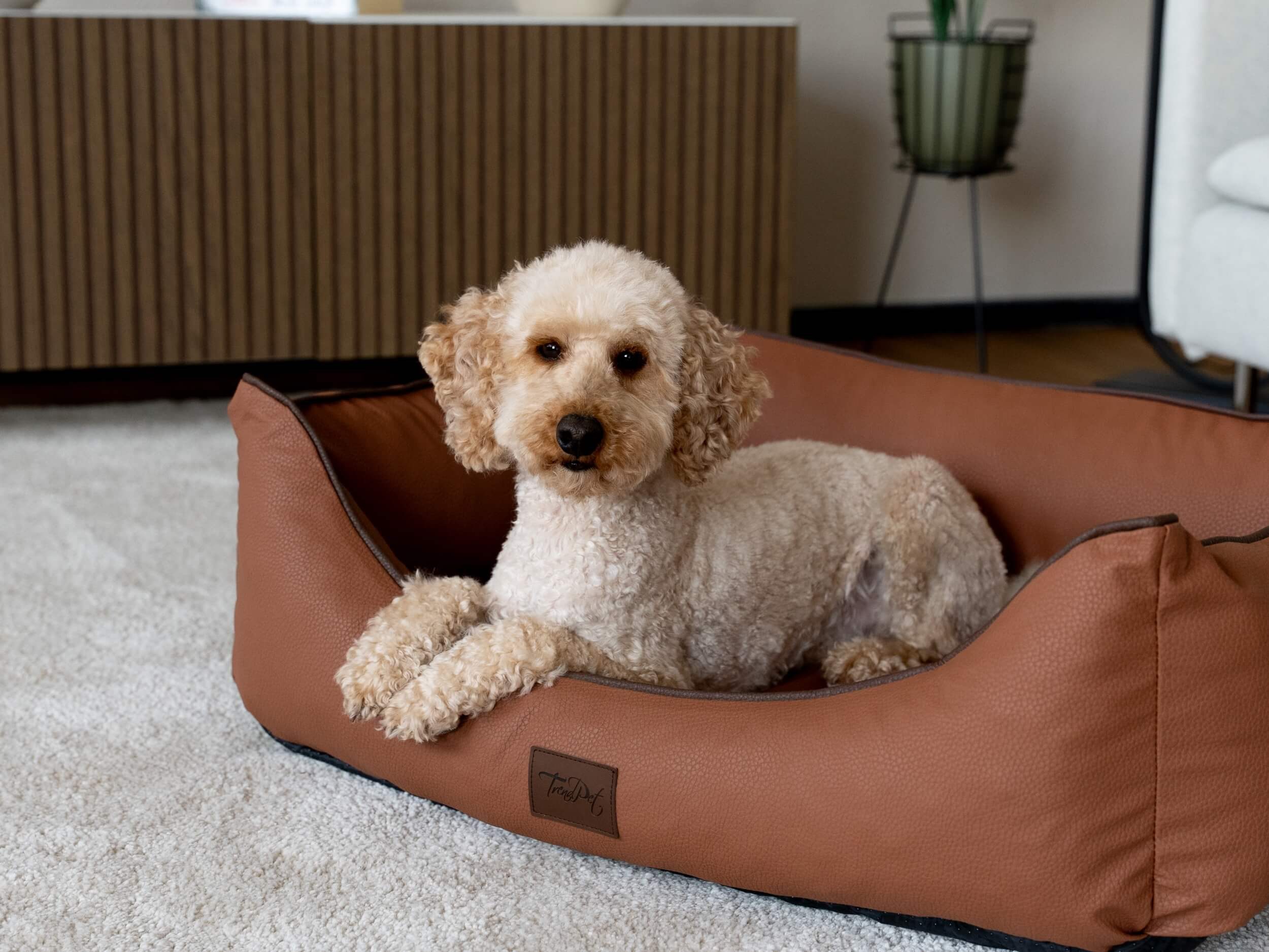 TrendPet Hundebett Runa Kunstlederbett, Kunstleder, besonders hoch gepolste günstig online kaufen