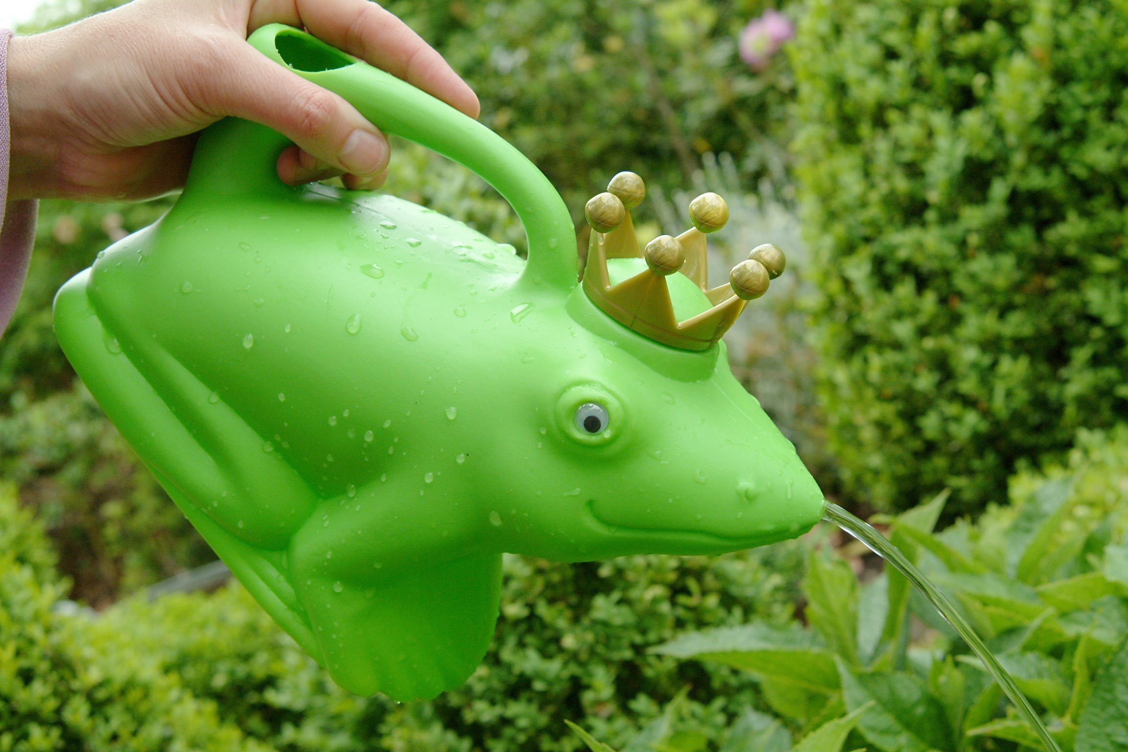 esschert design Gießkanne Gießkanne Frosch "Froschkönig" grün Blumen Garten Krönchen Kunststoff