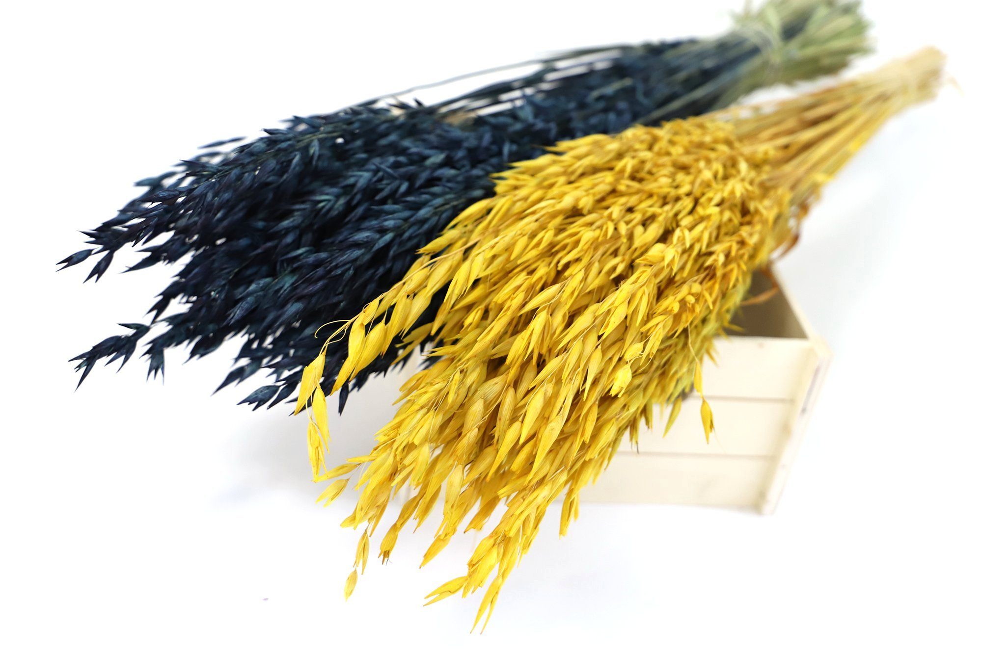 Trockenblume Getrockneter Farben Kunstharz.Art Gelb, verschiedenen Hafer - in