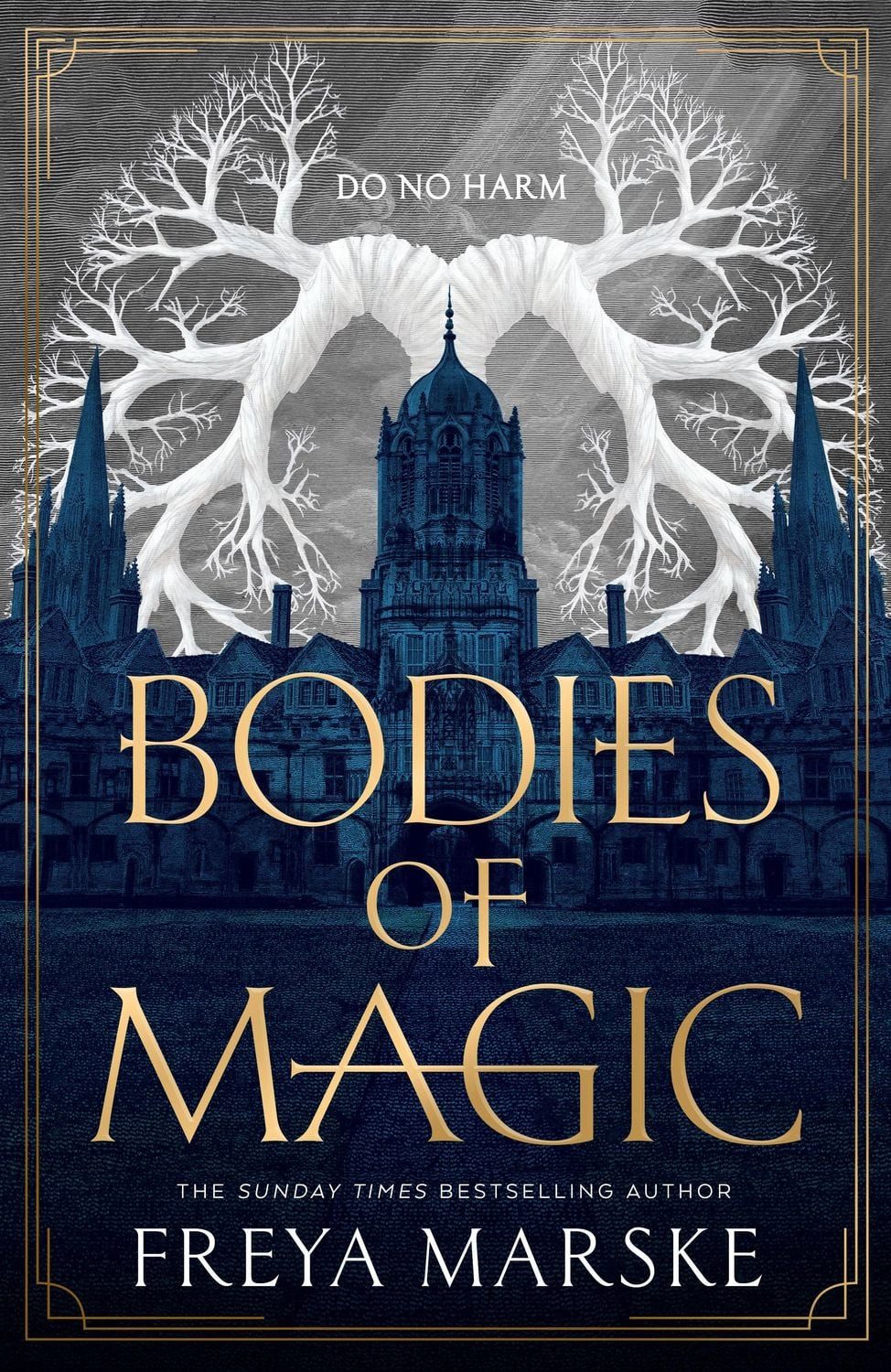 Bodies of Magic / Freya Marske