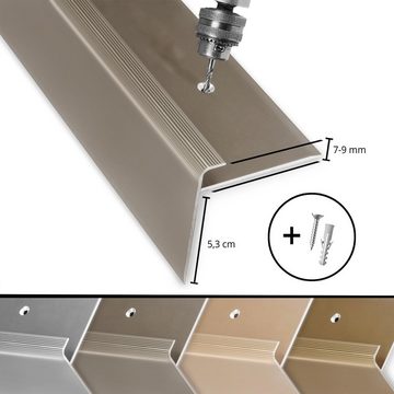 Floordirekt Treppenkantenprofil Safety, verschiedene Farben, F-Form