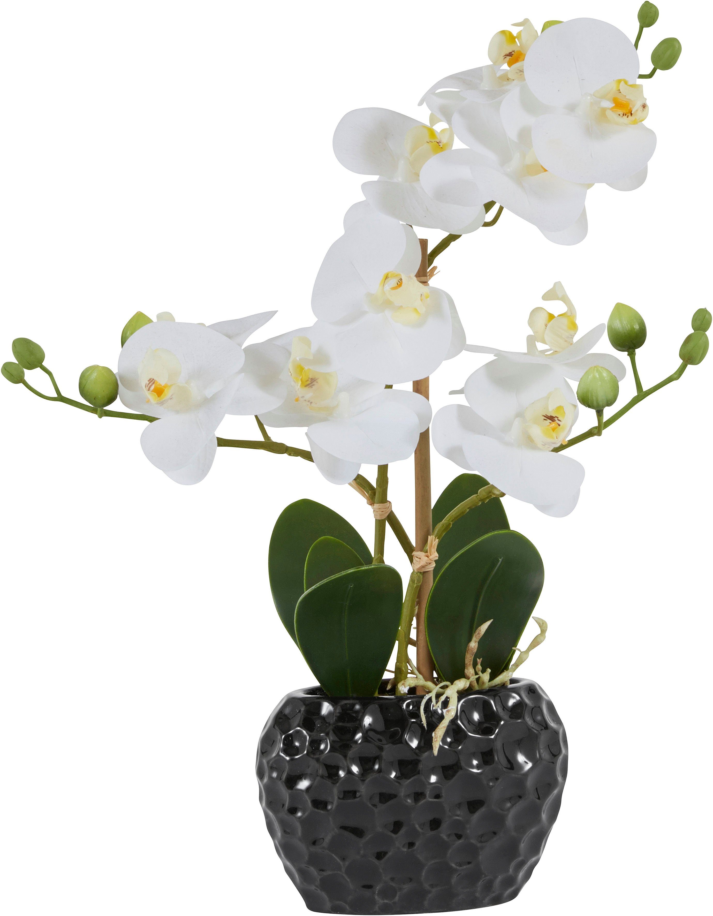 Kunstpflanze Orchidee Orchidee, Leonique, Höhe 38 cm, Kunstorchidee, im Topf