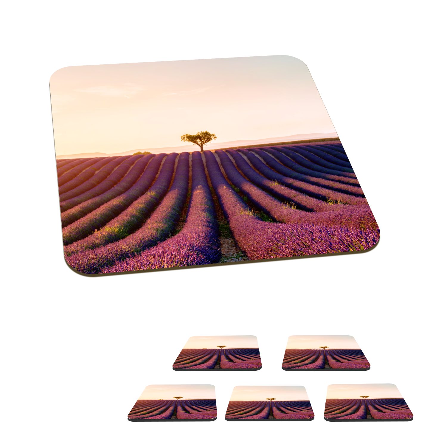 MuchoWow Glasuntersetzer Bild eines violetten Lavendelfeldes in Valensole, Frankreich, Zubehör für Gläser, 6-tlg., Glasuntersetzer, Tischuntersetzer, Korkuntersetzer, Untersetzer, Tasse