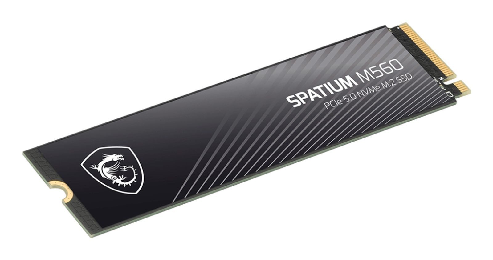 MSI 1TO M.2 NVME GEN5 - SPATIUM M560 Gaming-Festplatte