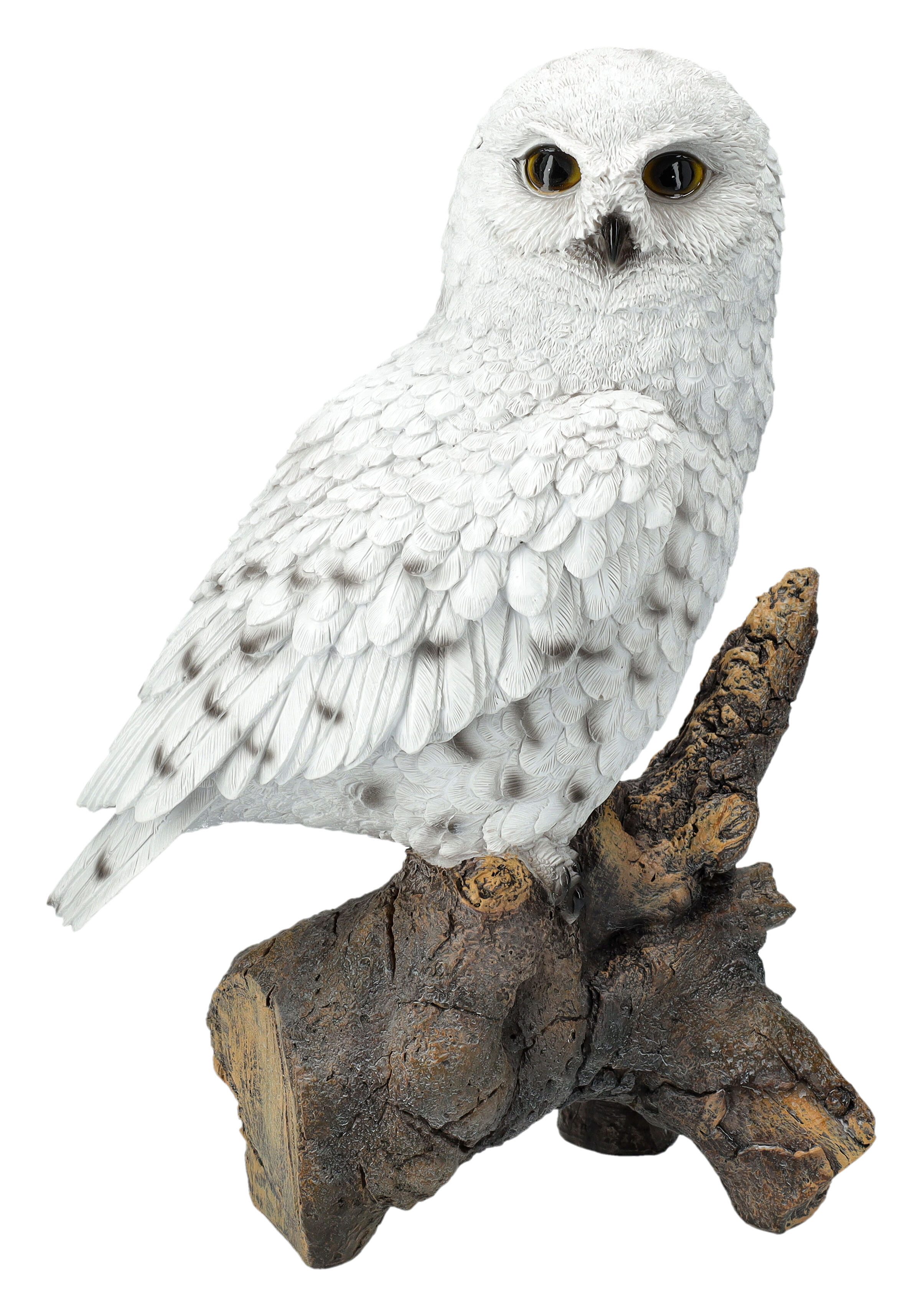 Figuren Shop GmbH Gartenfigur Gartenfigur Eule günstig online kaufen