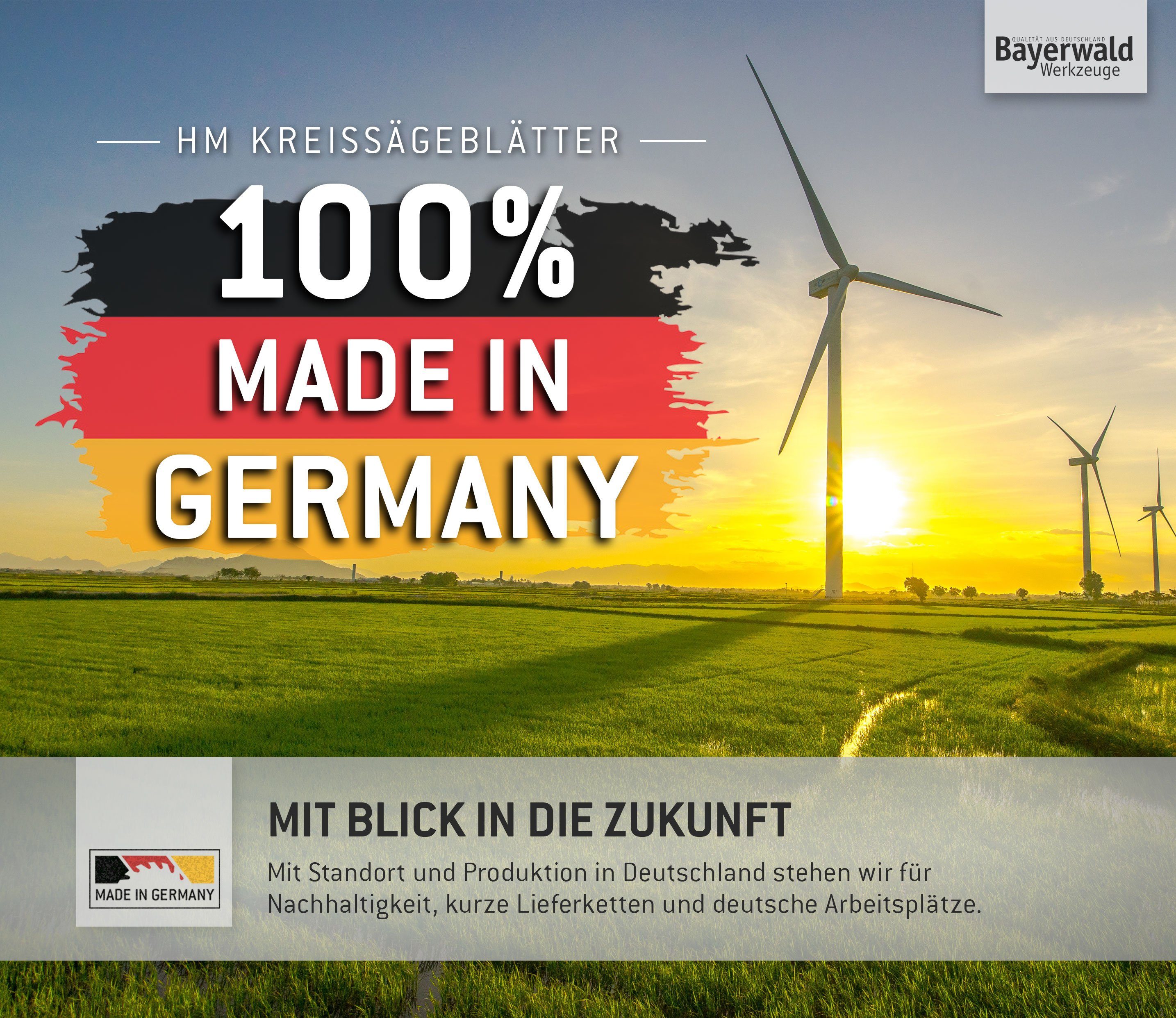 QUALITÄT AUS DEUTSCHLAND Bayerwald Werkzeuge Kreissägeblatt HM Kreissägeblatt - 305 x 2.2/1.8 x 25.4 Z60 WWF