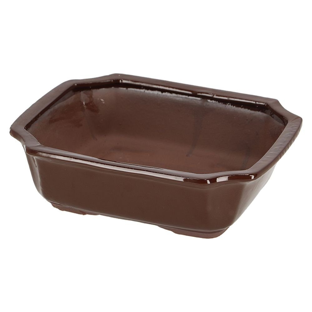 Rivanto Pflanzschale, Bonsai Schale rechteckig L günstig online kaufen