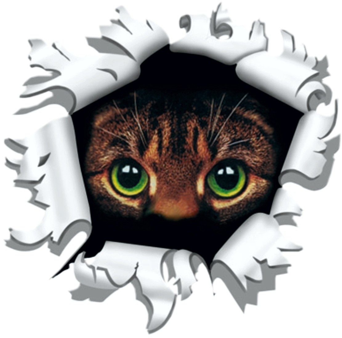 Hermann Schütz Aufkleber Aufkleber Einschussloch 170 mm Motiv Katze