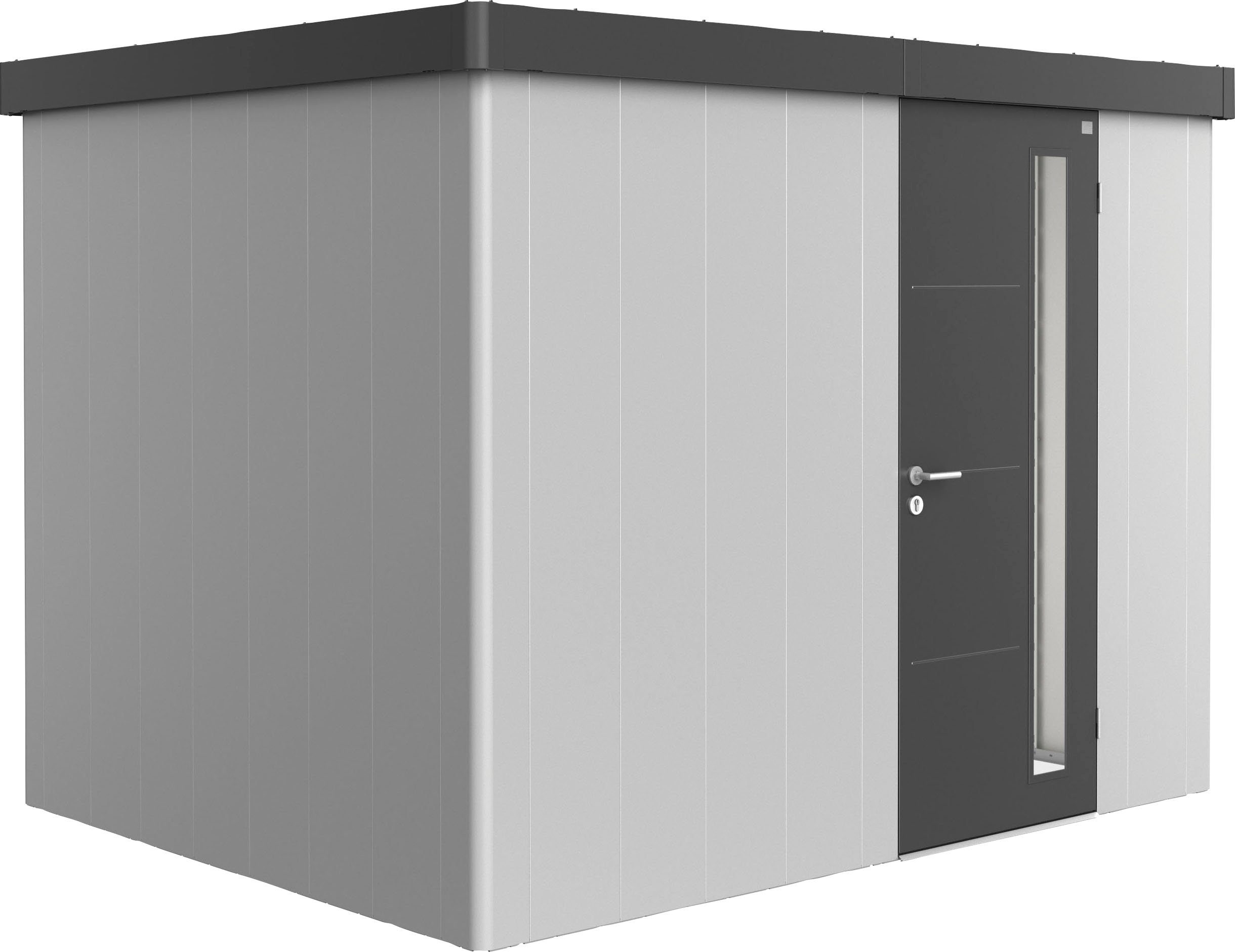 Biohort Gerätehaus Neo 2C Variante 1.3, BxT: 292x236 cm, Metall