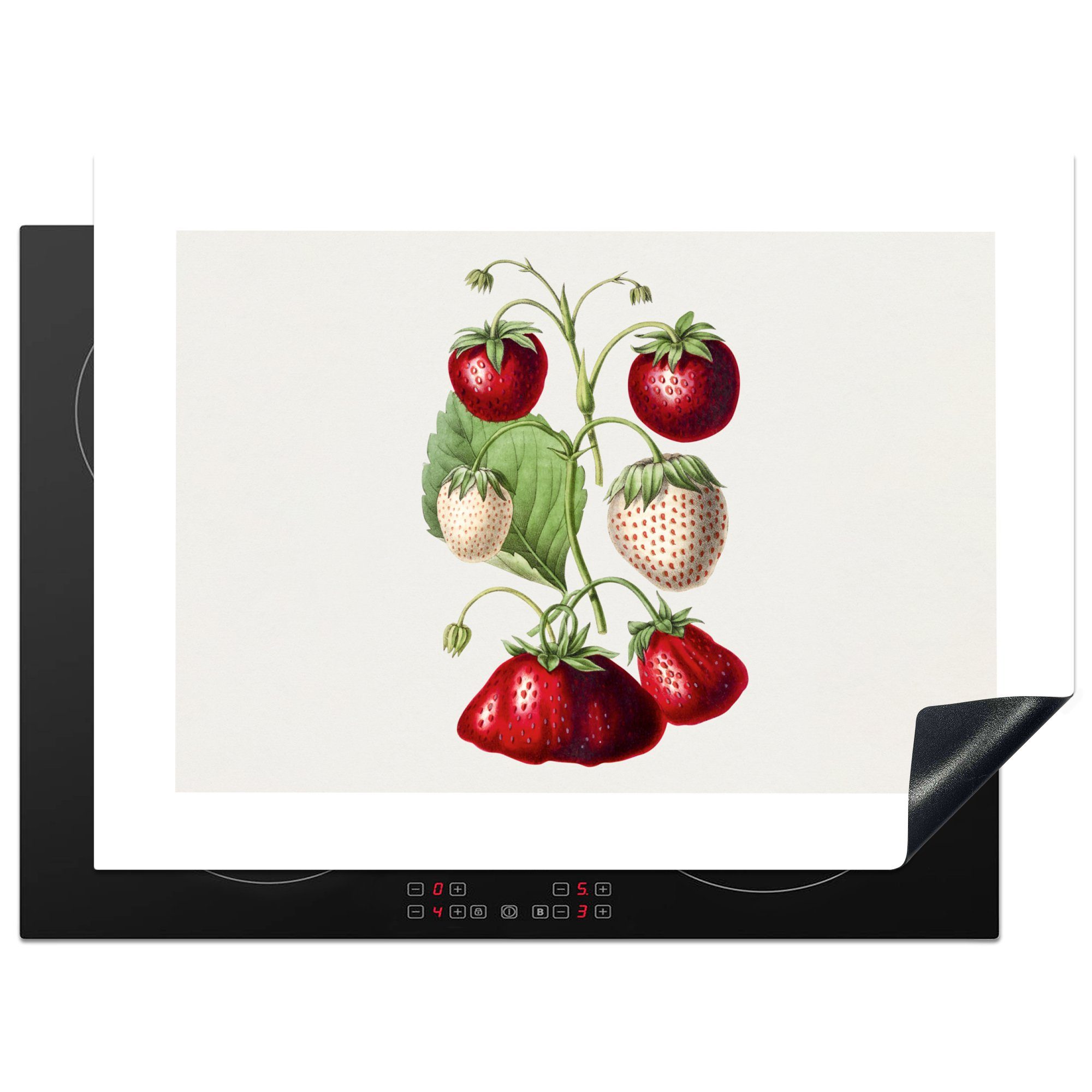 tlg), Vinyl, Herdblende-/Abdeckplatte MuchoWow Ceranfeldabdeckung Pflanze für - 71x52 Erdbeeren küche, Lebensmittel, (1 die cm, Schutz - Induktionskochfeld