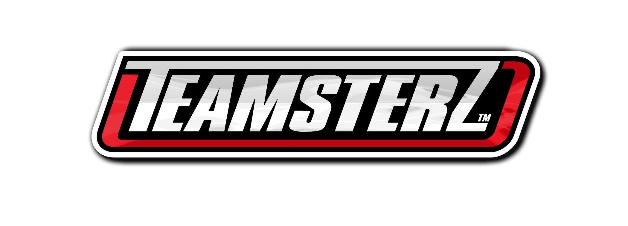 Teamsterz