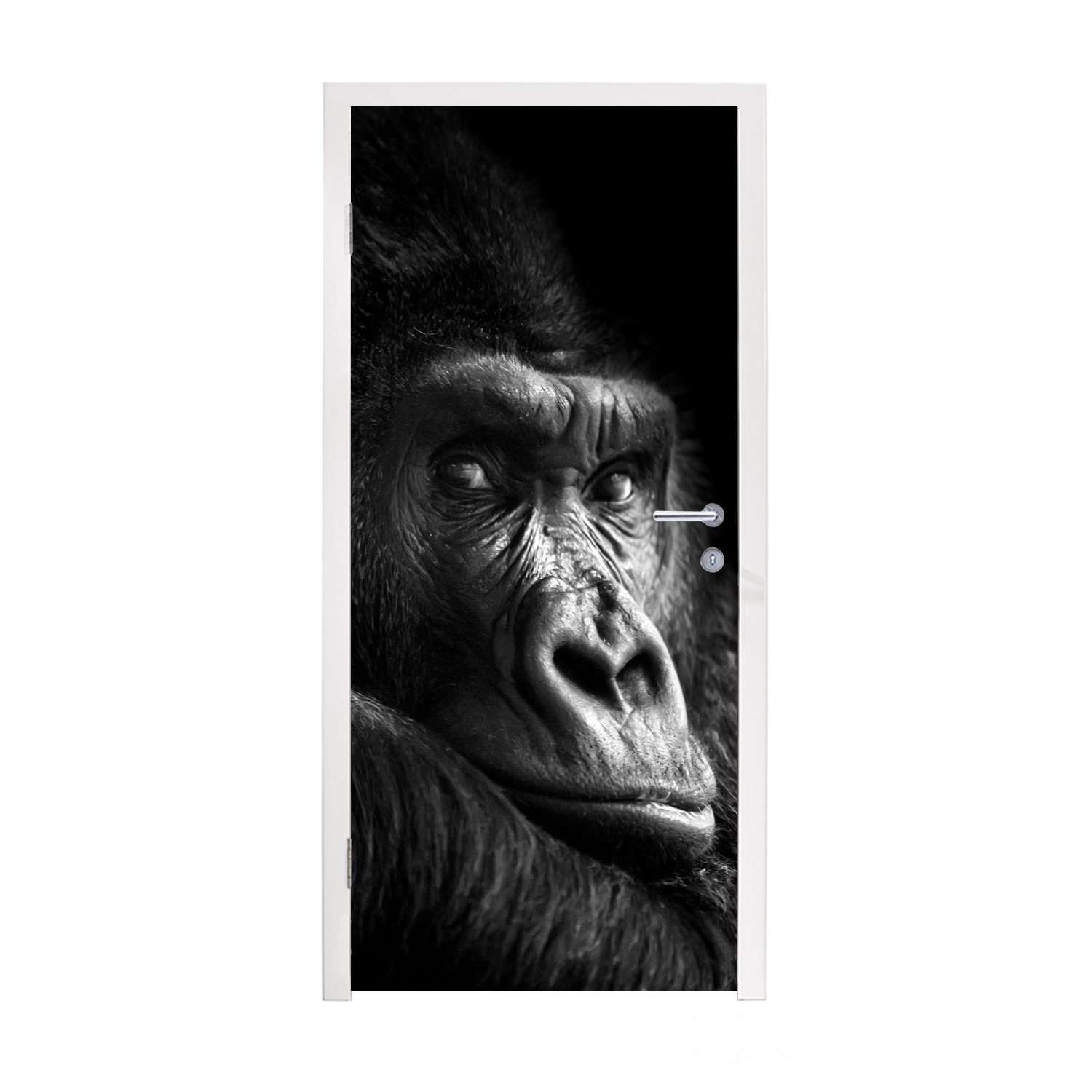 MuchoWow cm - Tür, Weiß St), bedruckt, - - für Schwarz Fototapete - Porträt, Türtapete Affe 75x205 (1 Matt, Türaufkleber, Gorilla