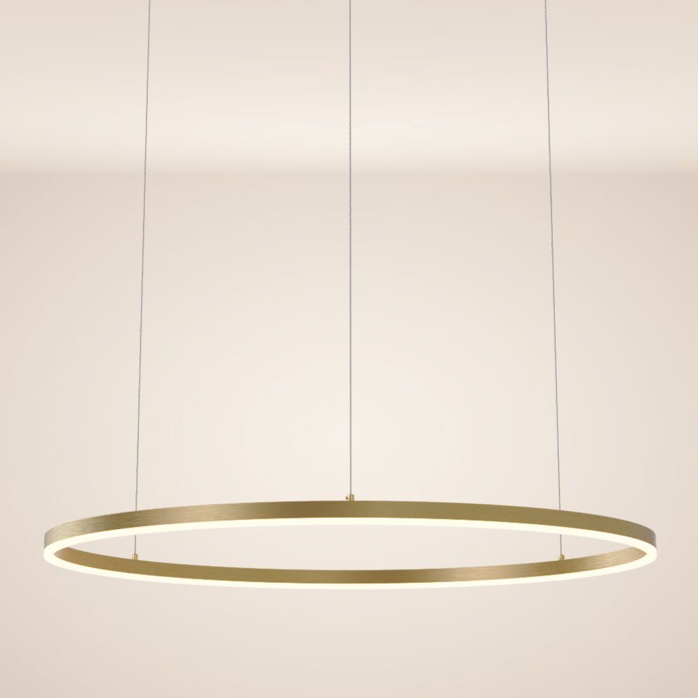 s.luce Pendelleuchte LED Pendelleuchte Ring 100 direkt oder indirekt 5m Abhängung Gold, Warmweiß