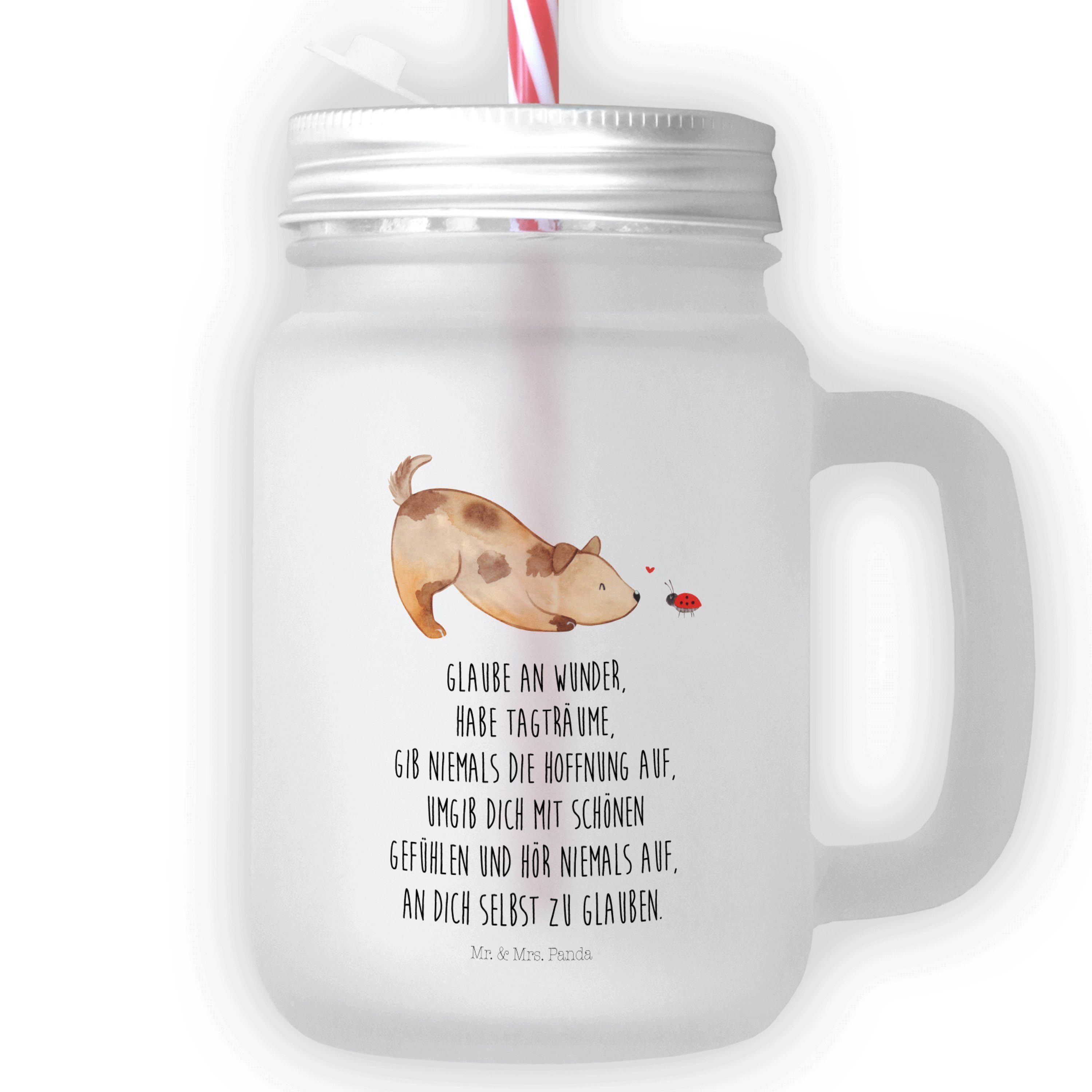 Mr. & Mrs. Panda Glas Hund Marienkäfer Transparent Geschenk