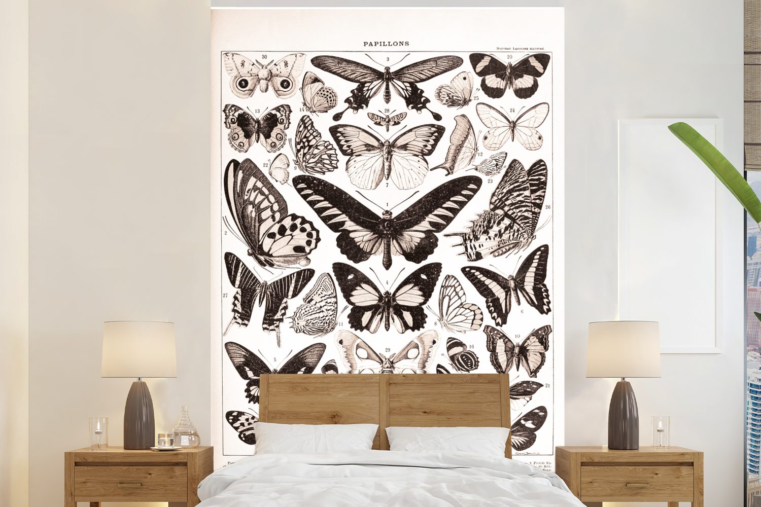 MuchoWow Fototapete Schmetterling - Insekten - Tiere, Matt, bedruckt, (3 St), Montagefertig Vinyl Tapete für Wohnzimmer, Wandtapete
