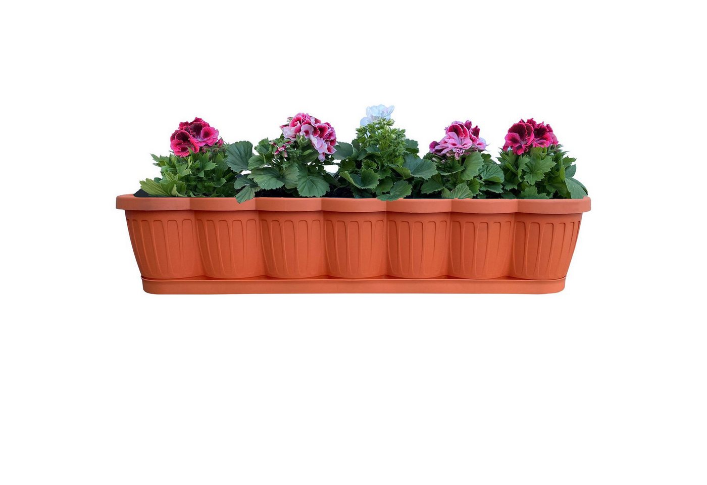 Thumbnail - BURI Blumenkasten 6er Set 80cm Blumenkasten Pflanzkasten Terracotta mit Bewässerung