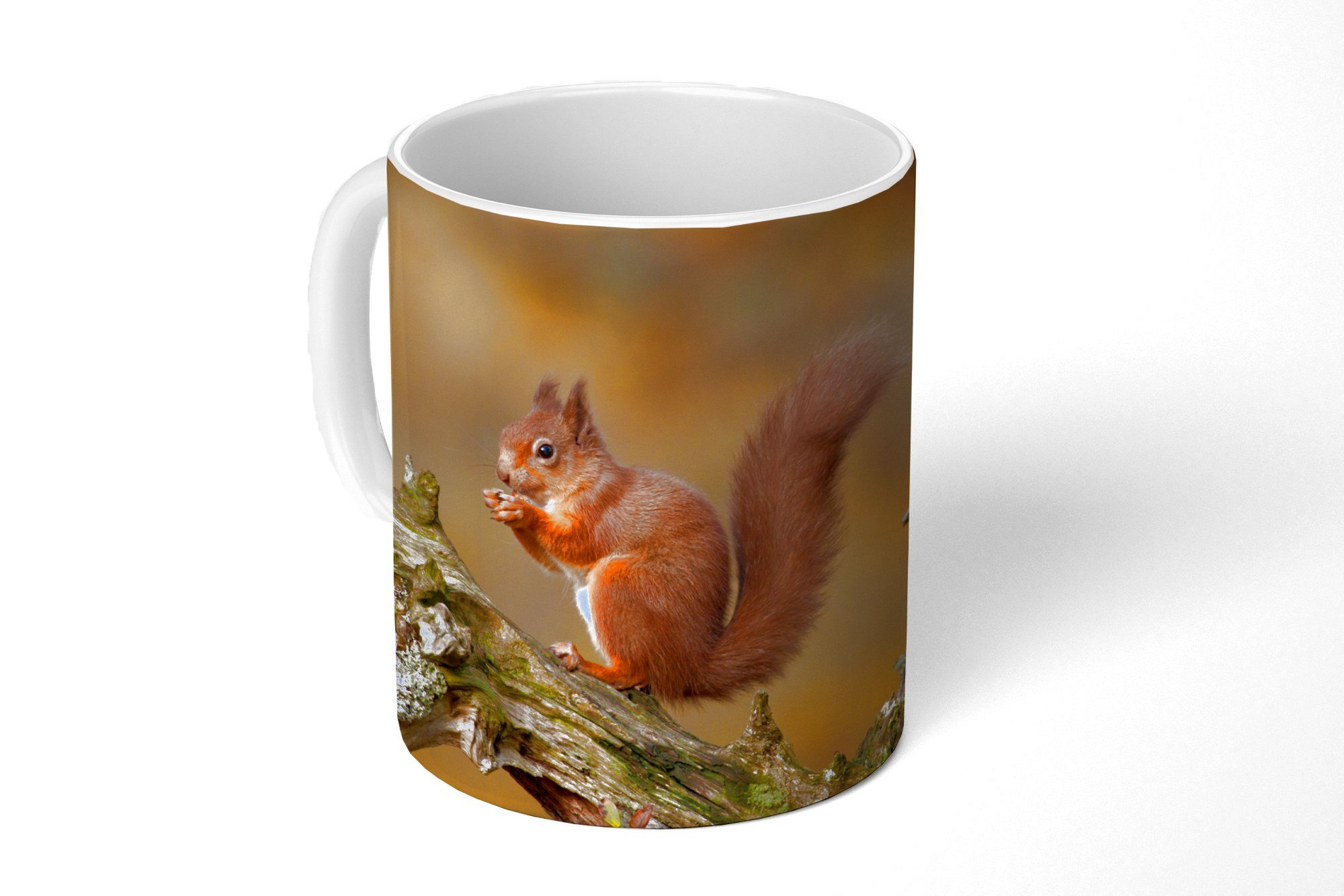 MuchoWow Tasse Eichhörnchen - Baumstamm - Wald, Keramik, Kaffeetassen, Teetasse, Becher, Teetasse, Geschenk