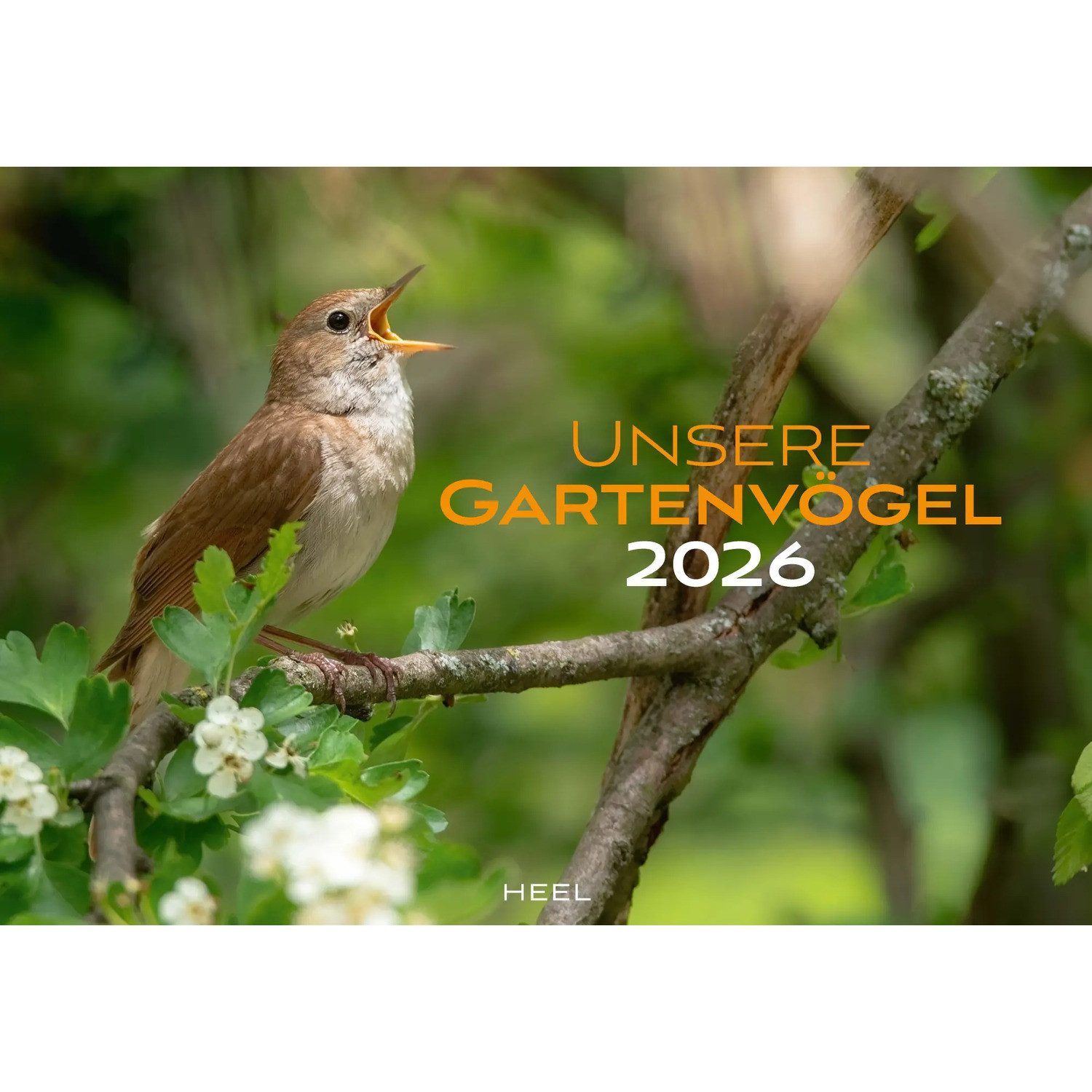 HEEL Verlag Настенный календарь Unsere Gartenvögel Календари 2026