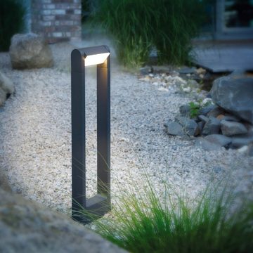 Paul Neuhaus Smarte LED-Leuchte LED Wegelampe Q - ALBERT Smart Home RGB-W, Smart Home, RGB-Farbwechsel, Memoryfunktion, mit Leuchtmittel, Gartenlampe Pollerleuchte Works with Alexa