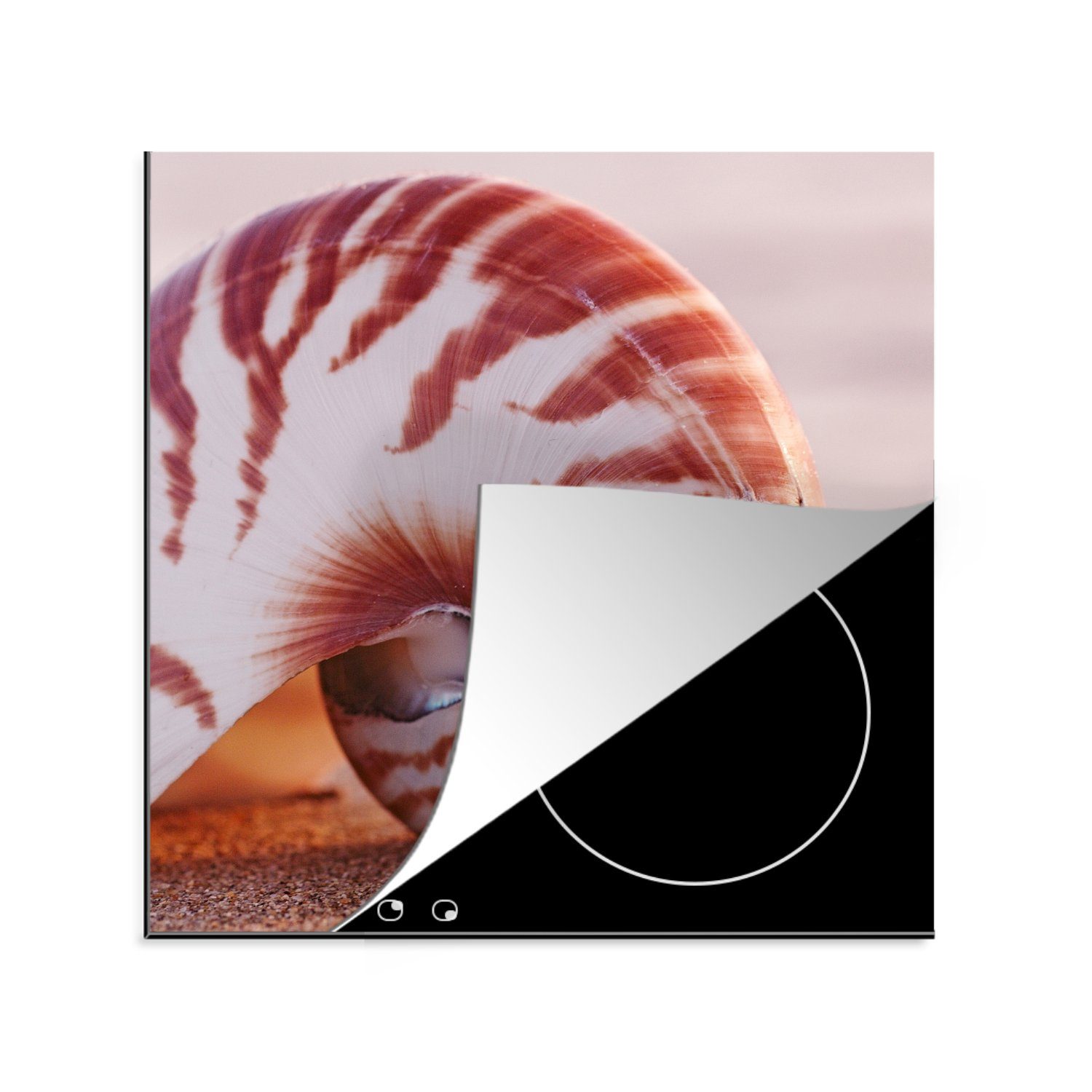 MuchoWow Herdblende-/Abdeckplatte Eine Muschel im Sand in der Natur, Vinyl, (1 tlg), 78x78 cm, Ceranfeldabdeckung, Arbeitsplatte für küche