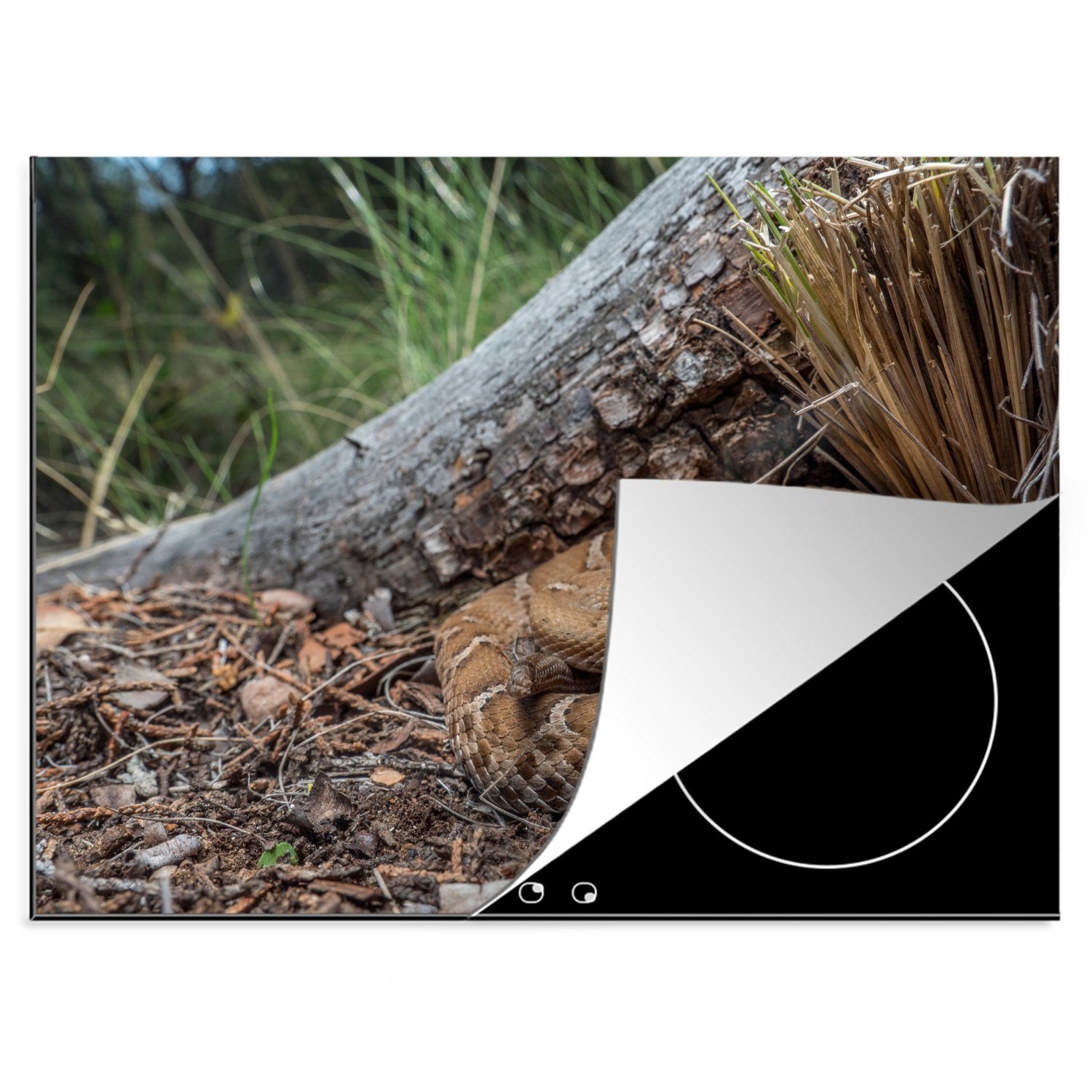 MuchoWow Herdblende-/Abdeckplatte Eine Klapperschlange, die in der Nähe eines Baumes auf ihre Beute, Vinyl, (1 tlg), 70x52 cm, Mobile Arbeitsfläche nutzbar, Ceranfeldabdeckung | Herdabdeckplatten