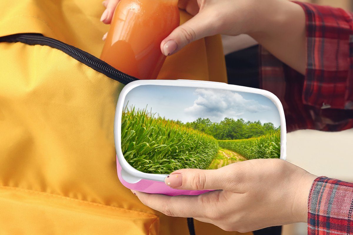 MuchoWow Lunchbox Dinkel - Getreide Kunststoff Luft, für - Kunststoff, Snackbox, Erwachsene, rosa Mädchen, Kinder, (2-tlg), Brotbox Brotdose